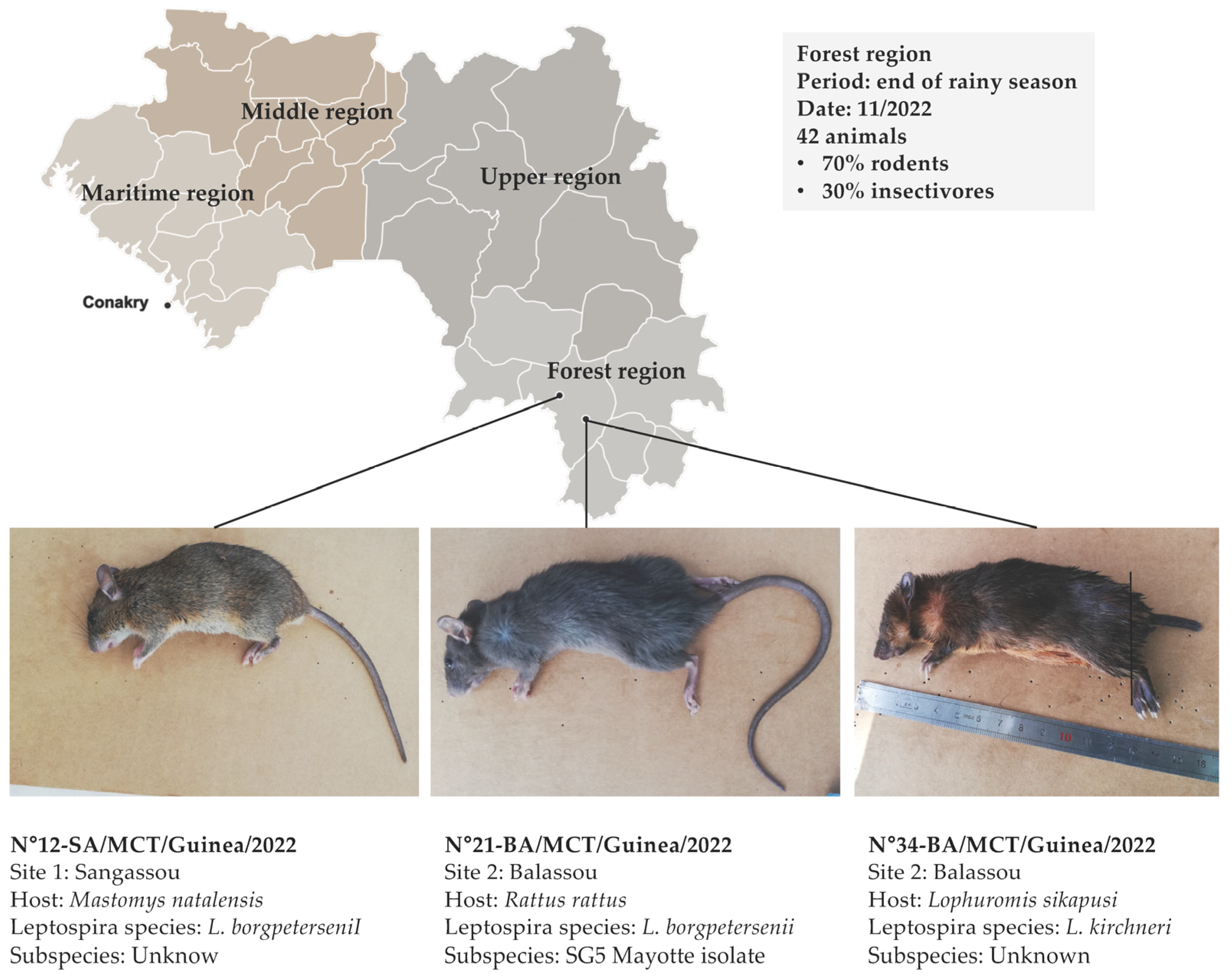 Microorganisms 13 00833 g001