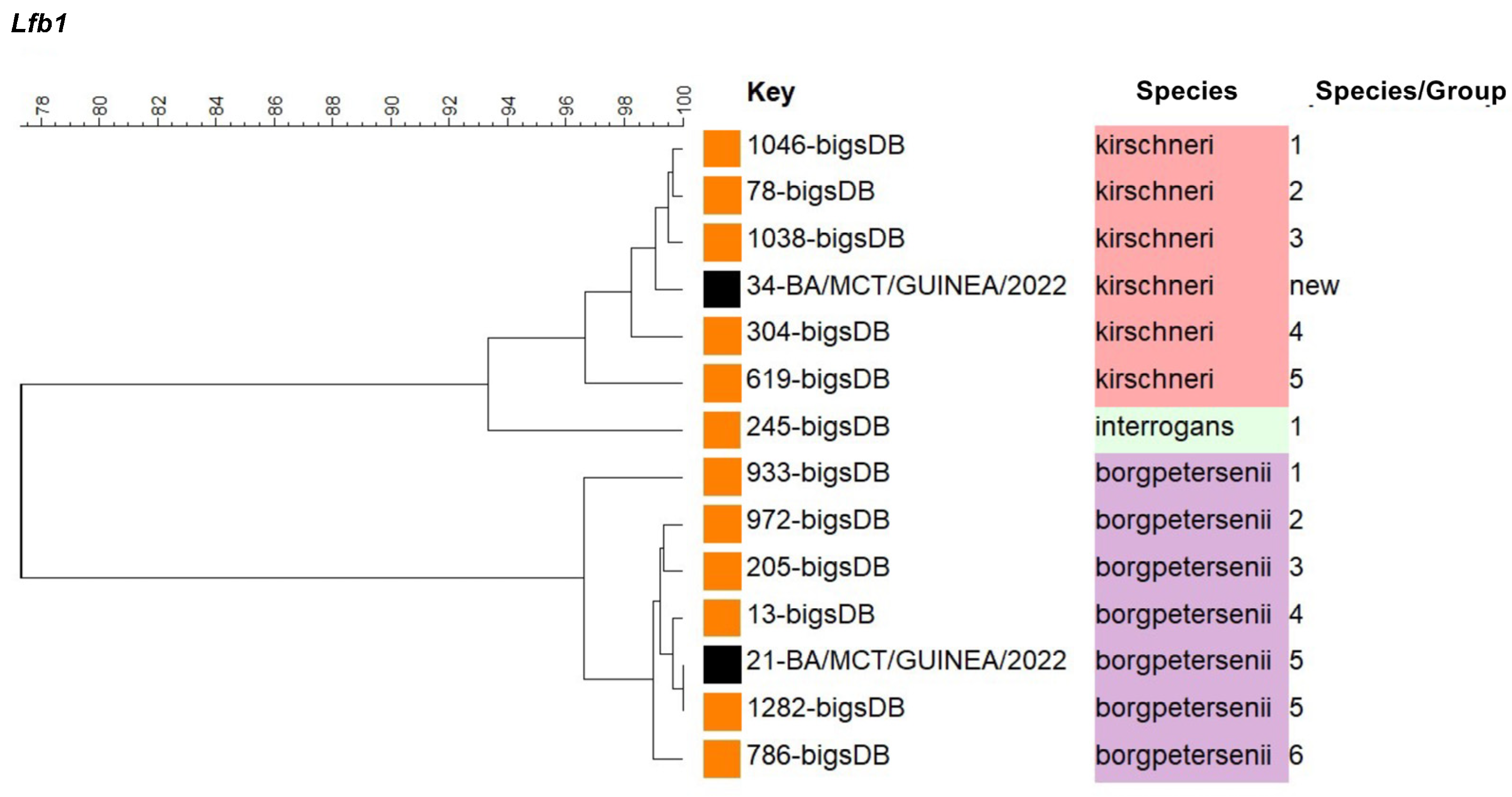 Microorganisms 13 00833 g002