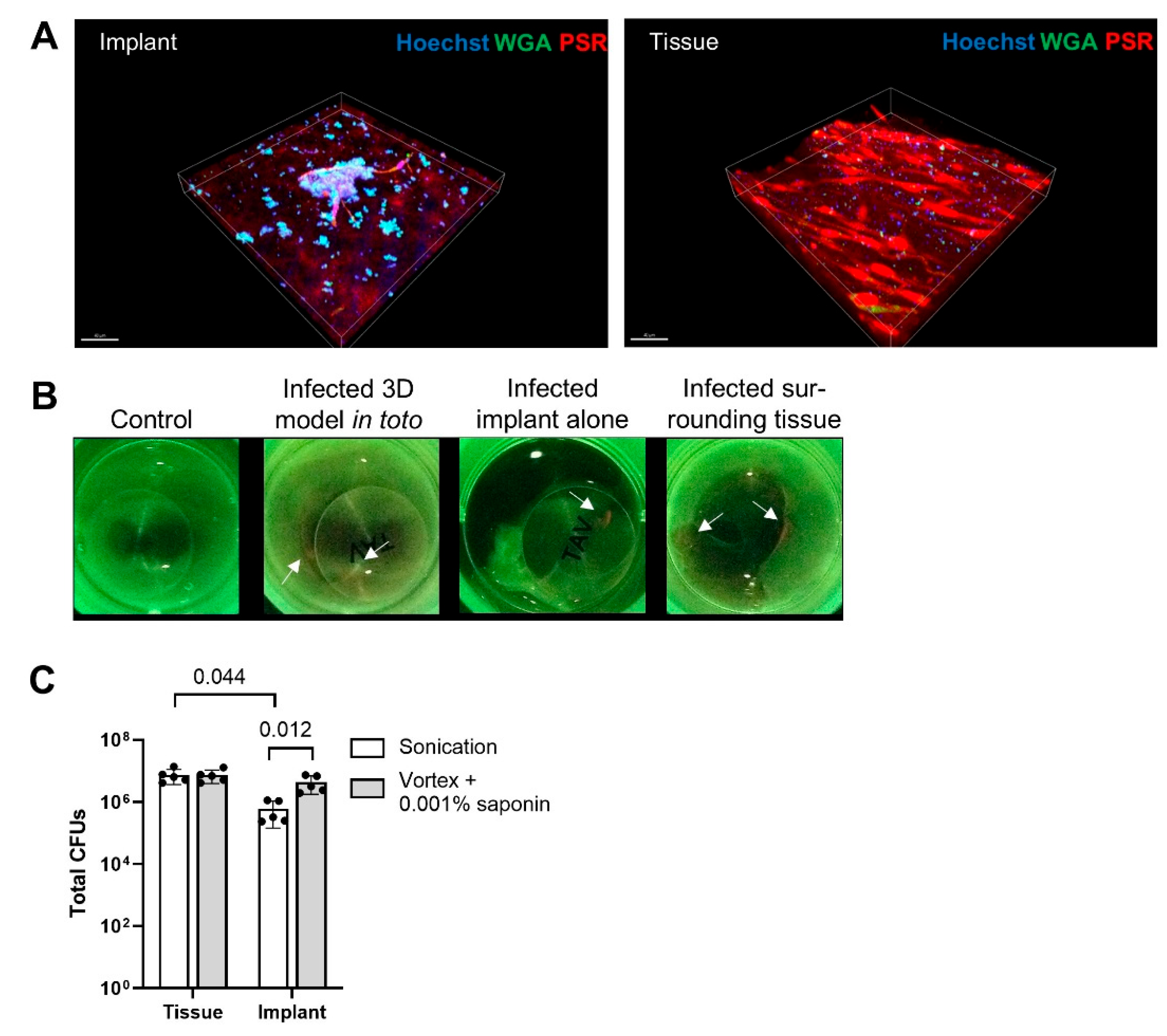 Microorganisms 13 00836 g003 Microorganisms 13 00836 g003