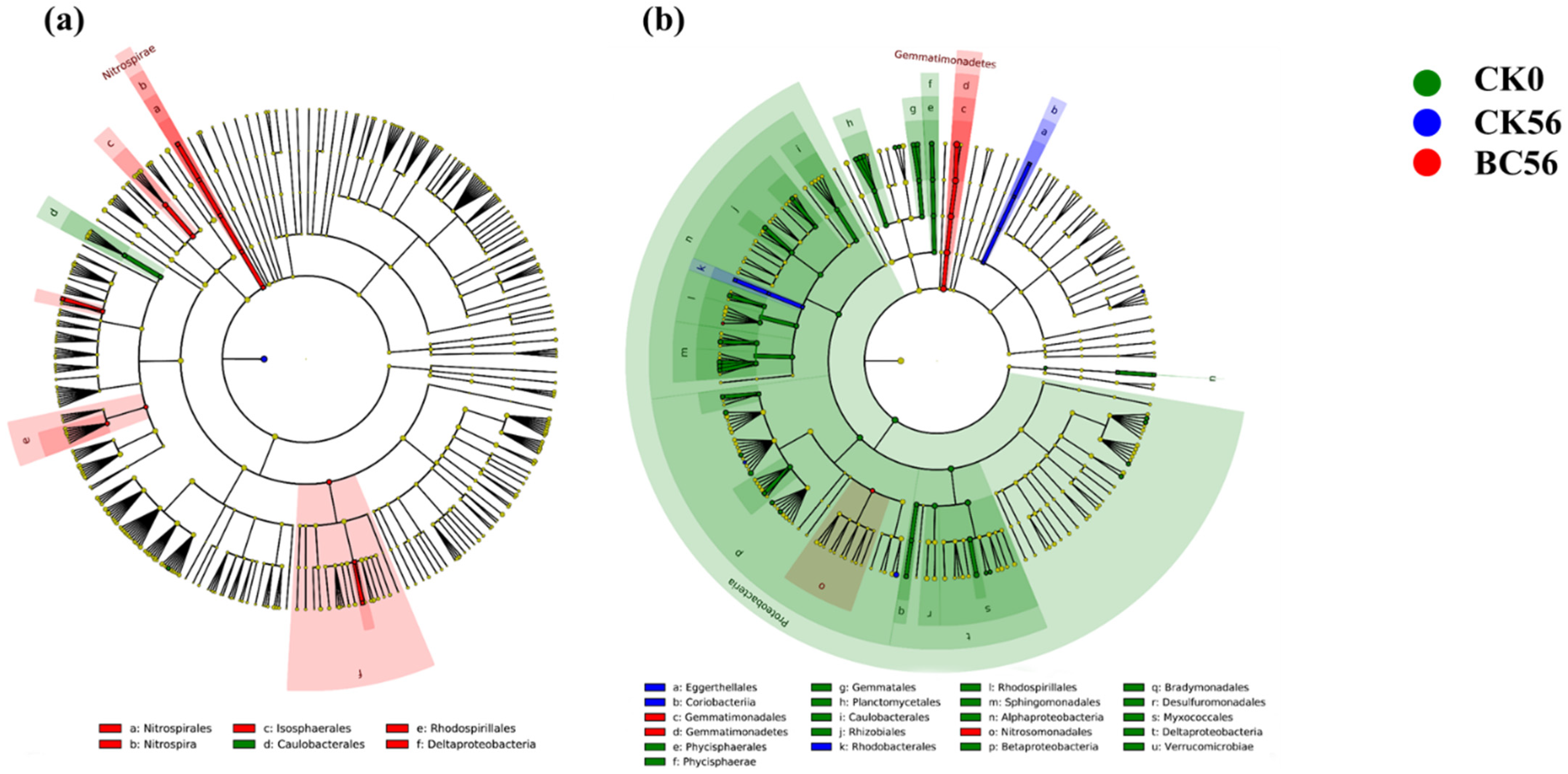 Microorganisms 13 00839 g007