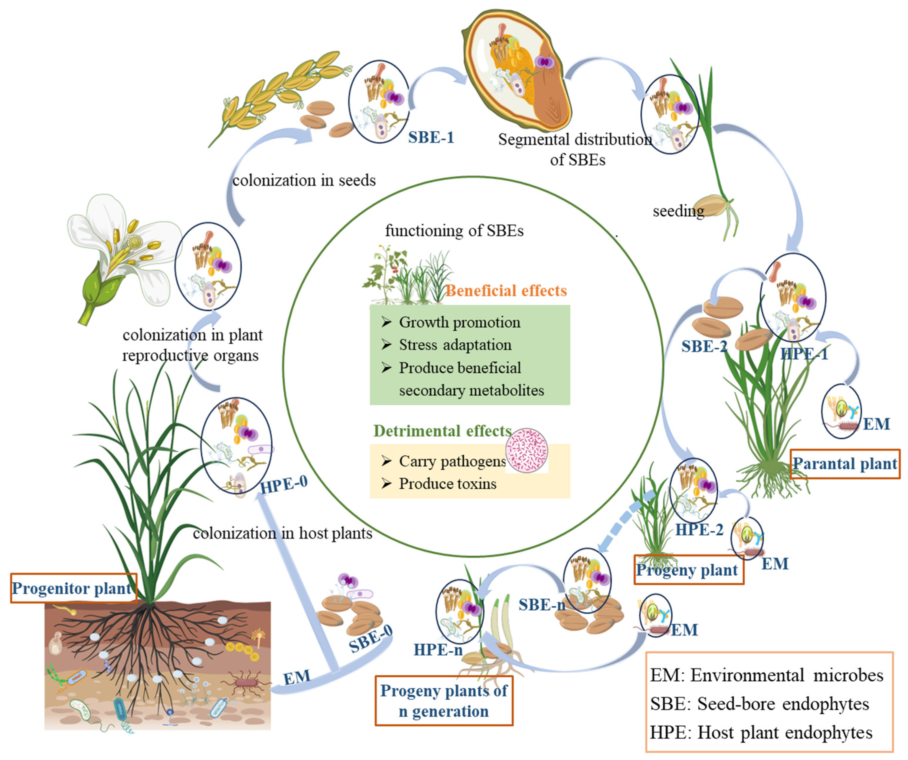 Microorganisms 13 00842 g001