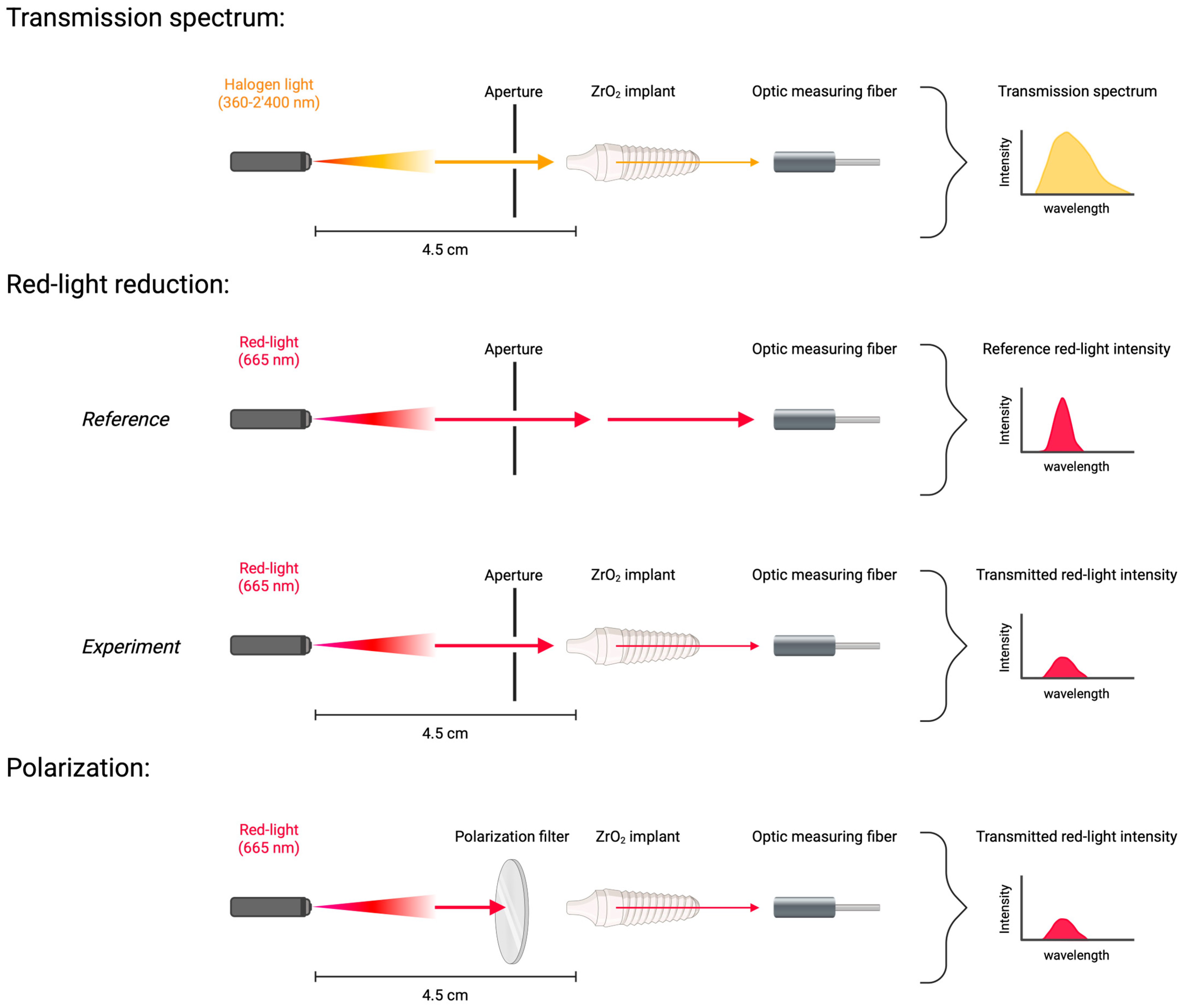 Microorganisms 13 00850 g001