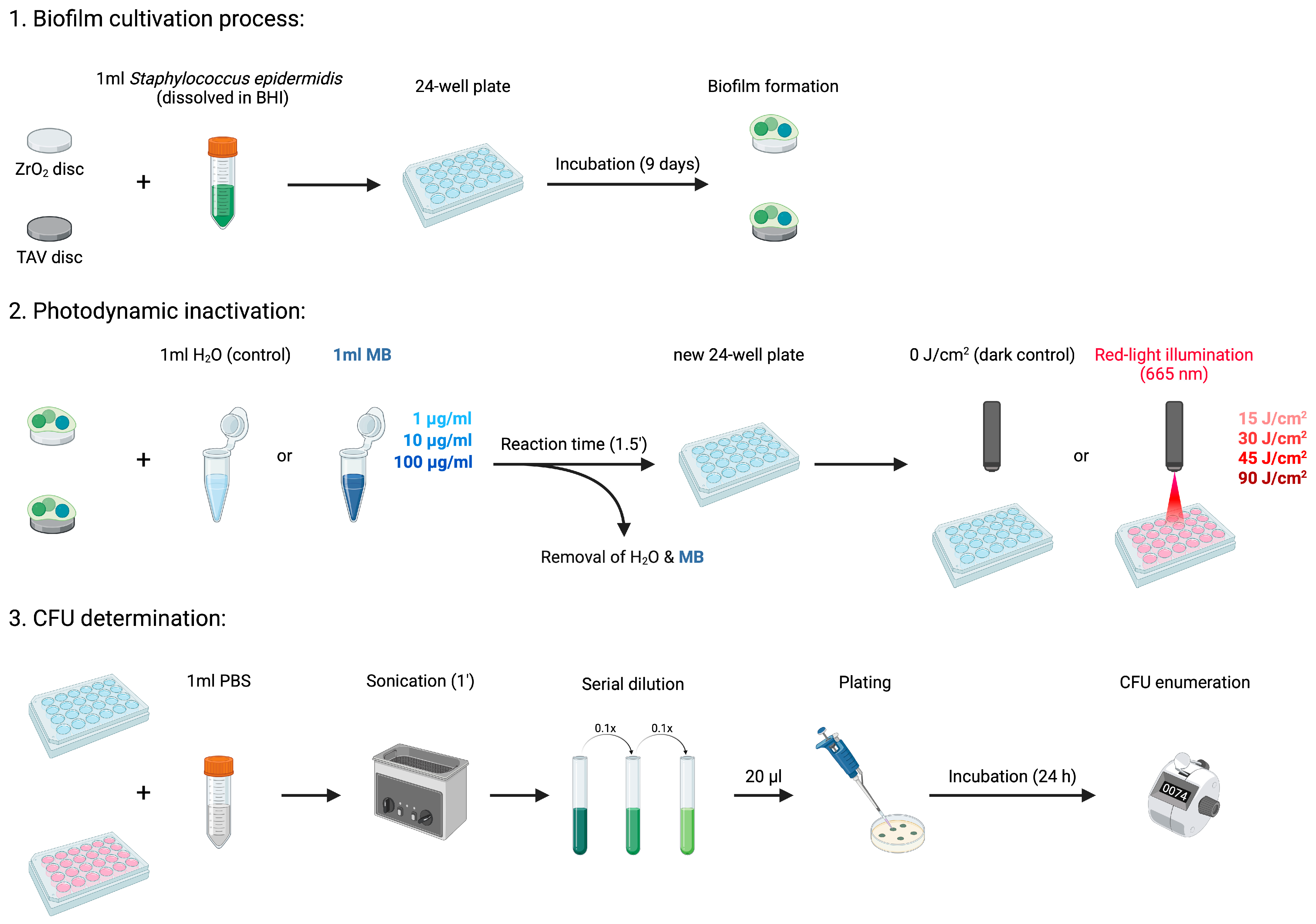 Microorganisms 13 00850 g002