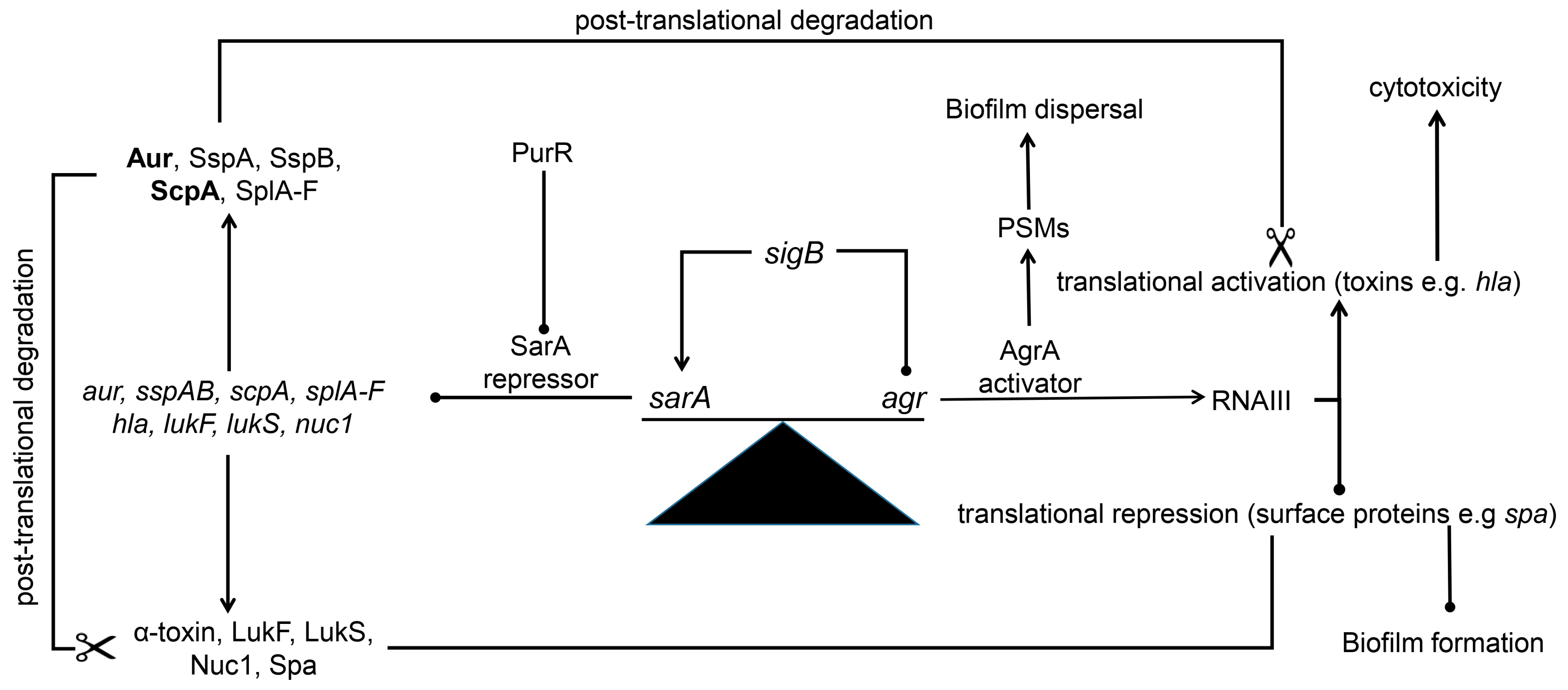 Microorganisms 13 00852 g001 Microorganisms 13 00852 g001