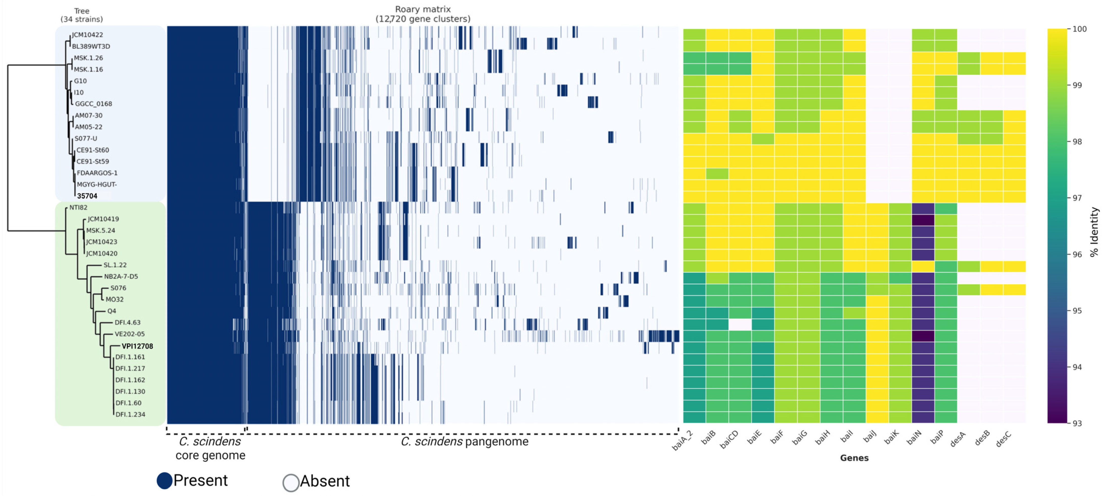 Microorganisms 13 00857 g004