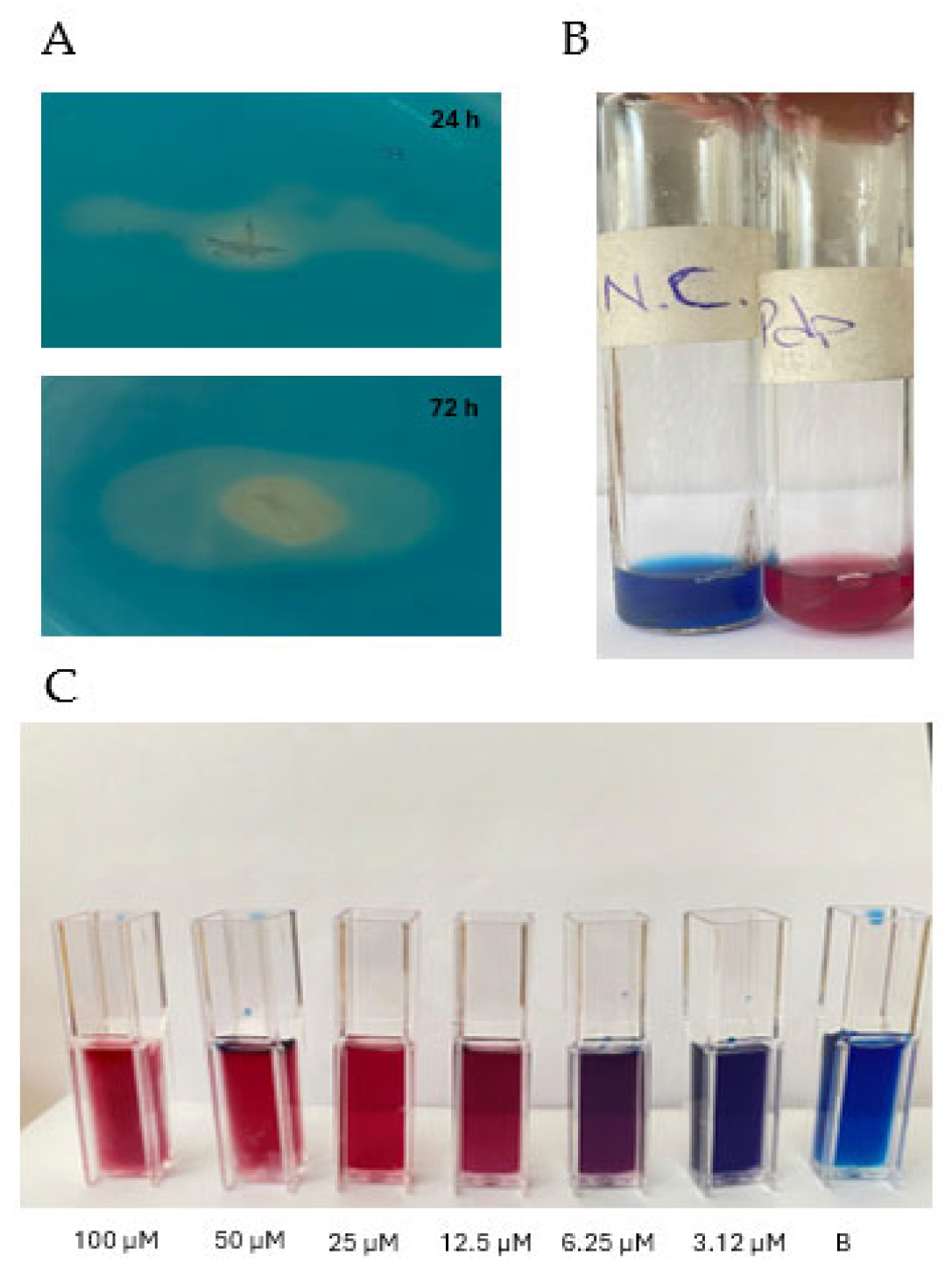 Microorganisms 13 00858 g004 Microorganisms 13 00858 g004