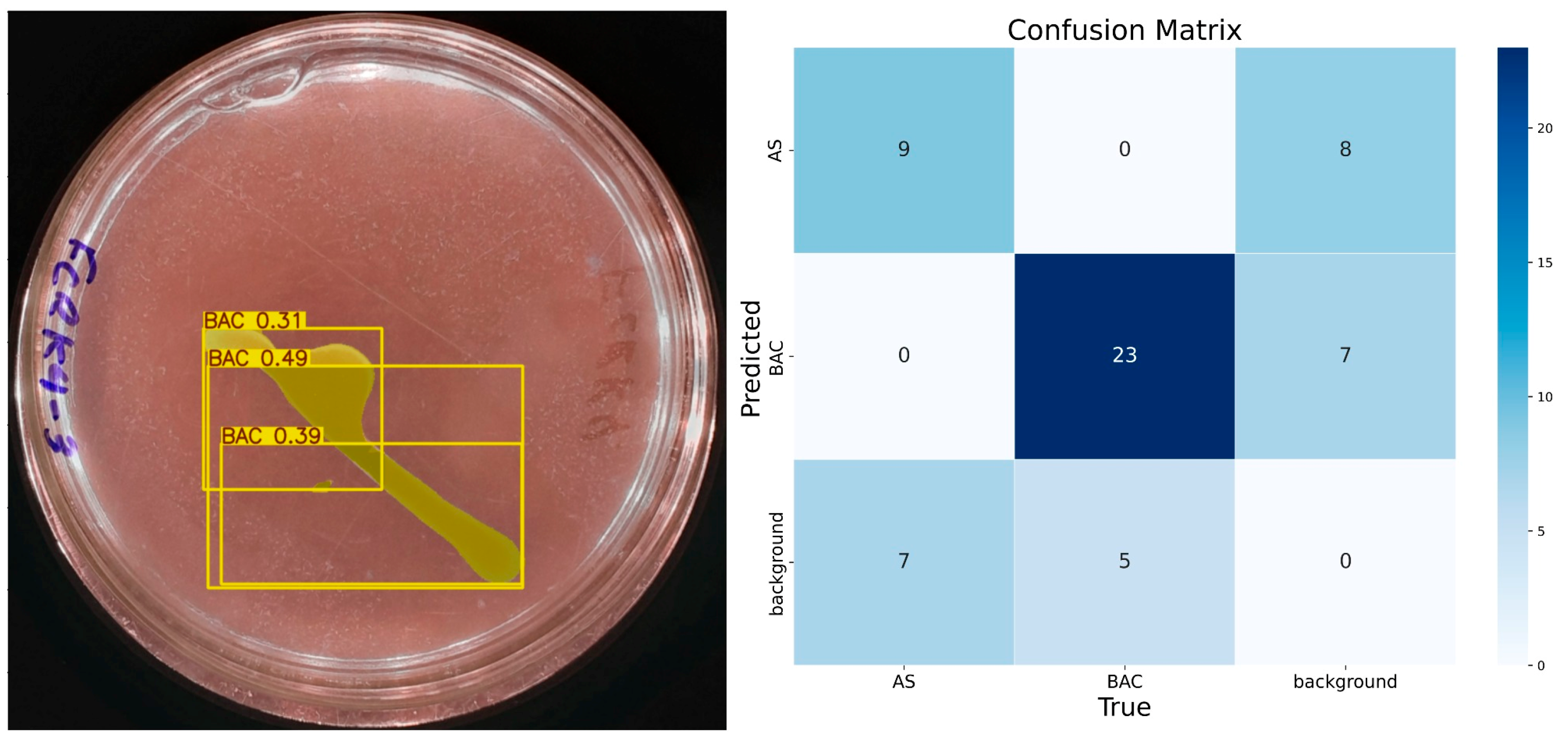 Microorganisms 13 00860 g006