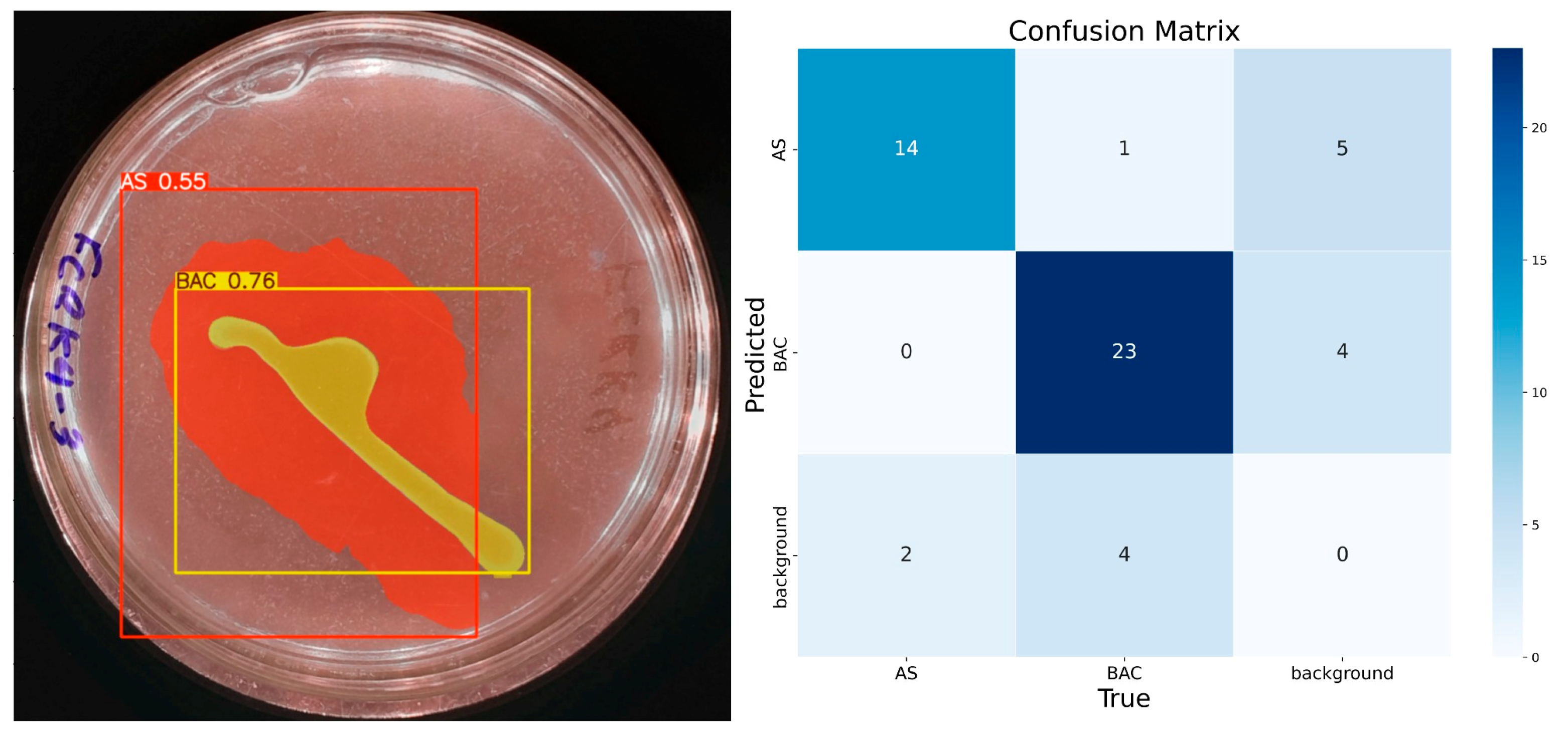Microorganisms 13 00860 g007