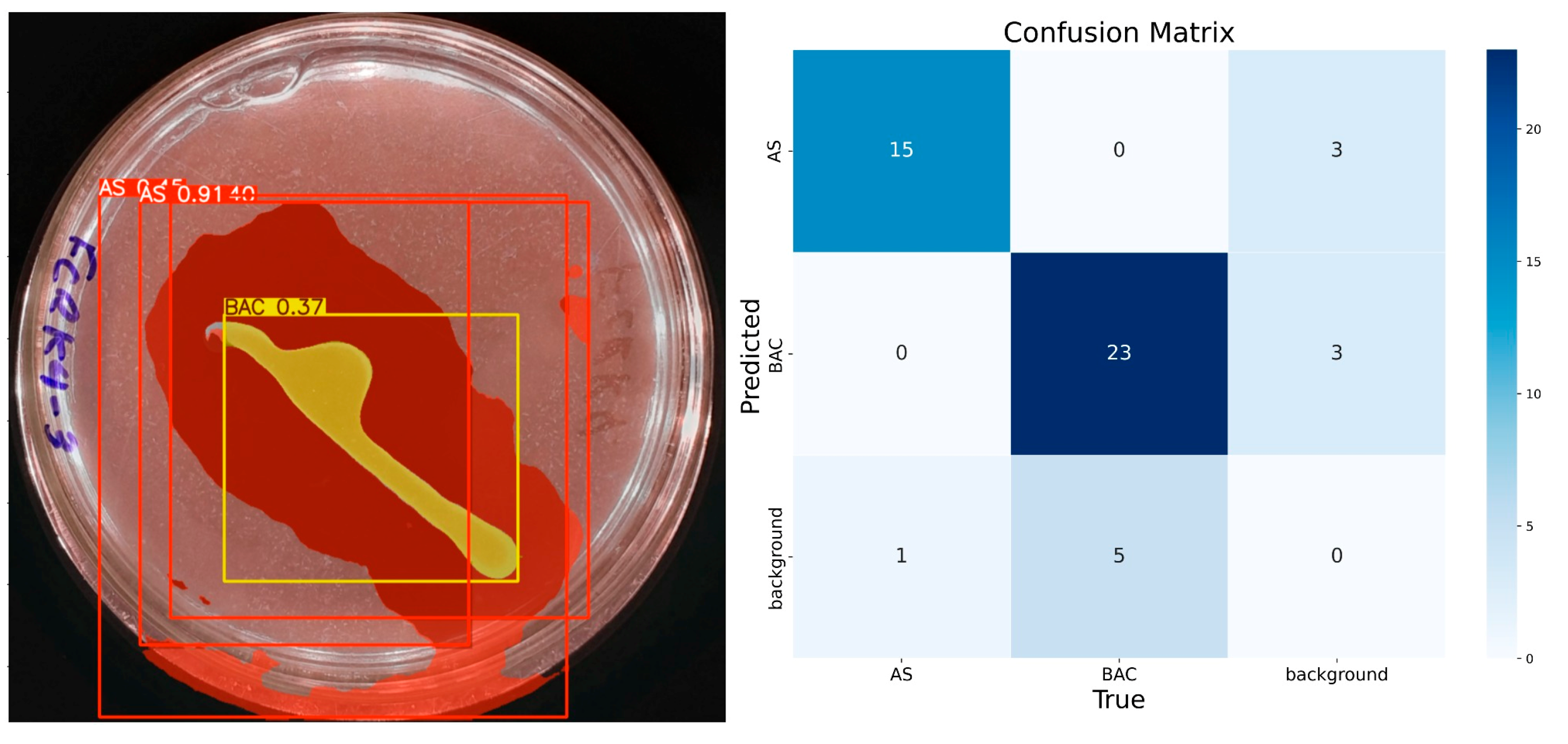 Microorganisms 13 00860 g008