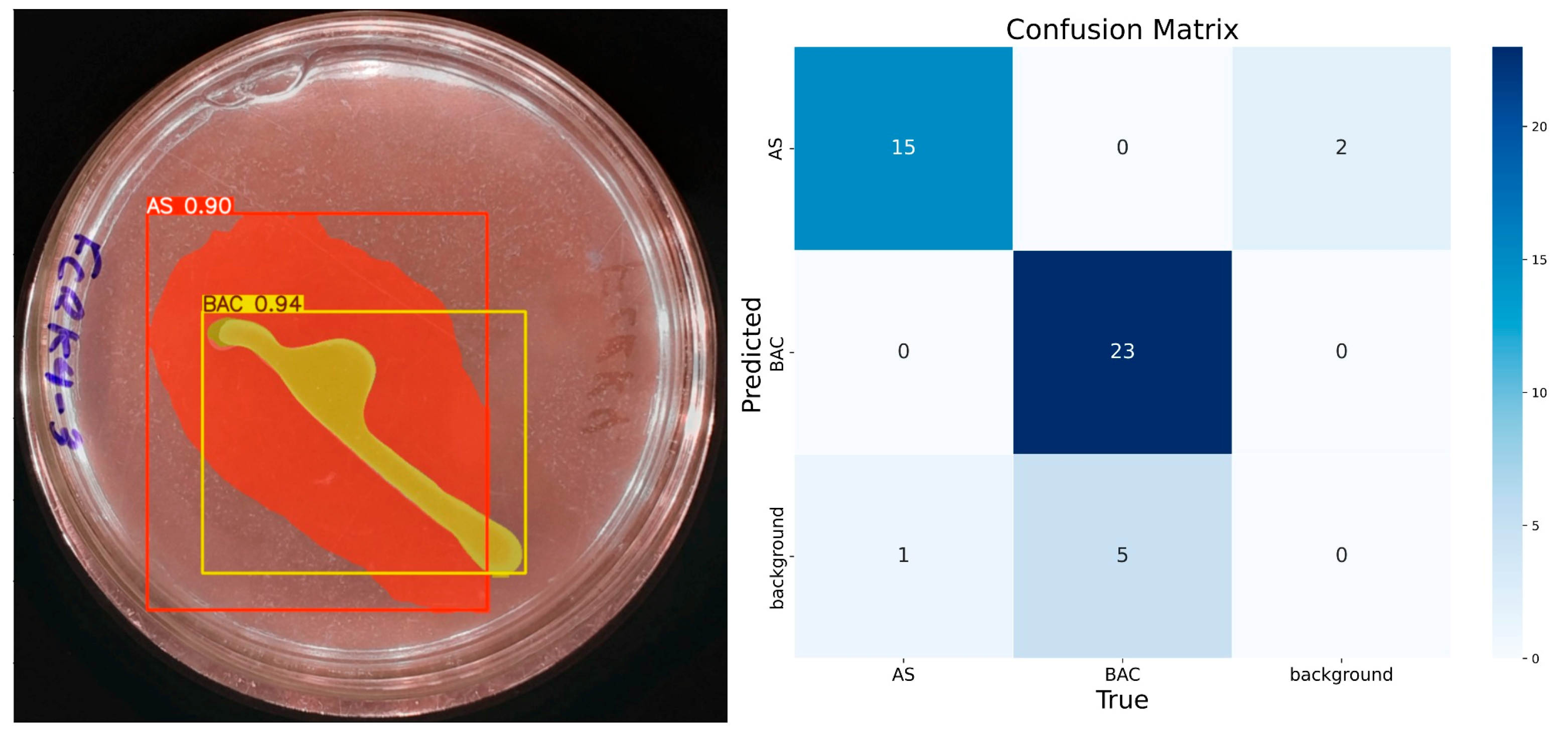 Microorganisms 13 00860 g010