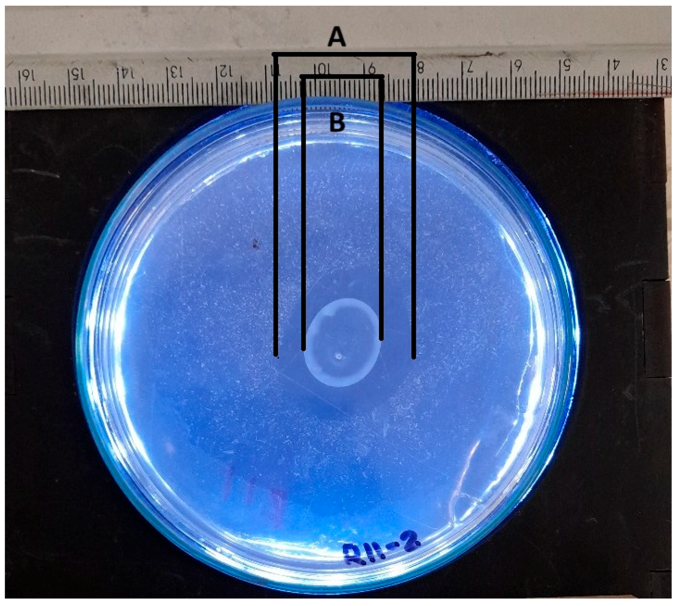 Microorganisms 13 00860 g011