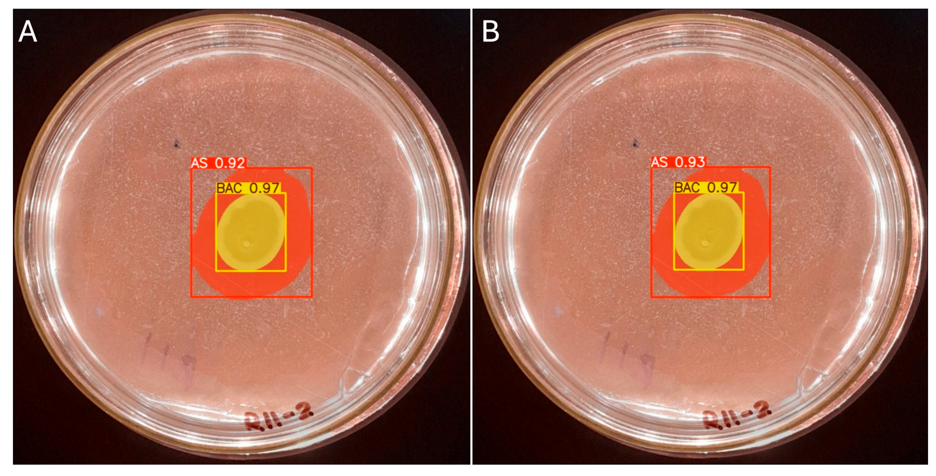 Microorganisms 13 00860 g012