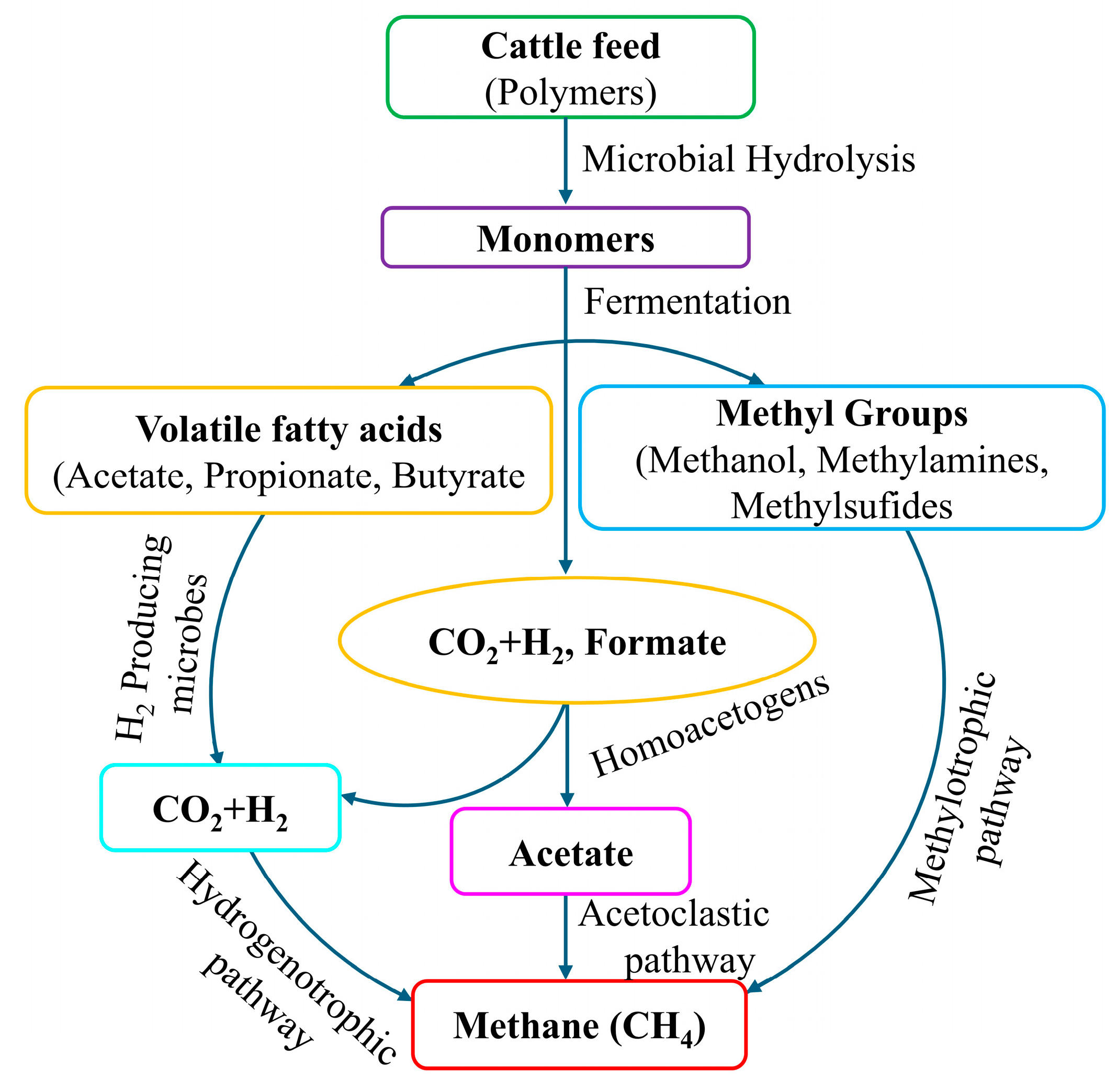 Microorganisms 13 00866 g002