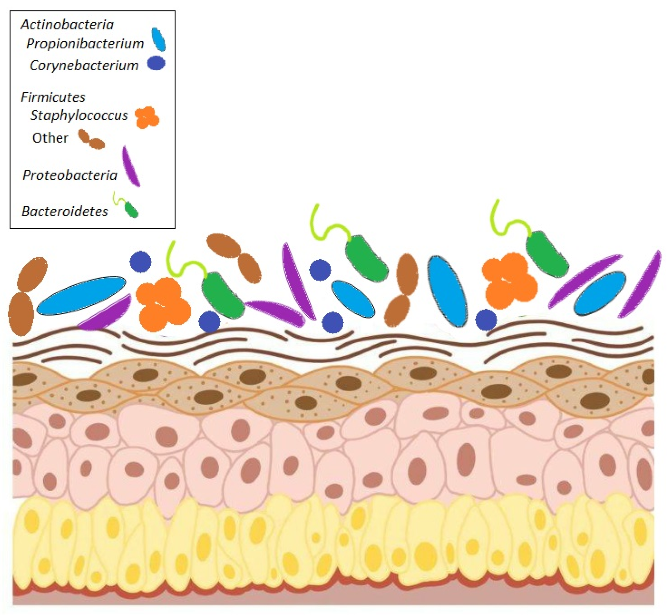 Microorganisms 13 00868 g001 Microorganisms 13 00868 g001