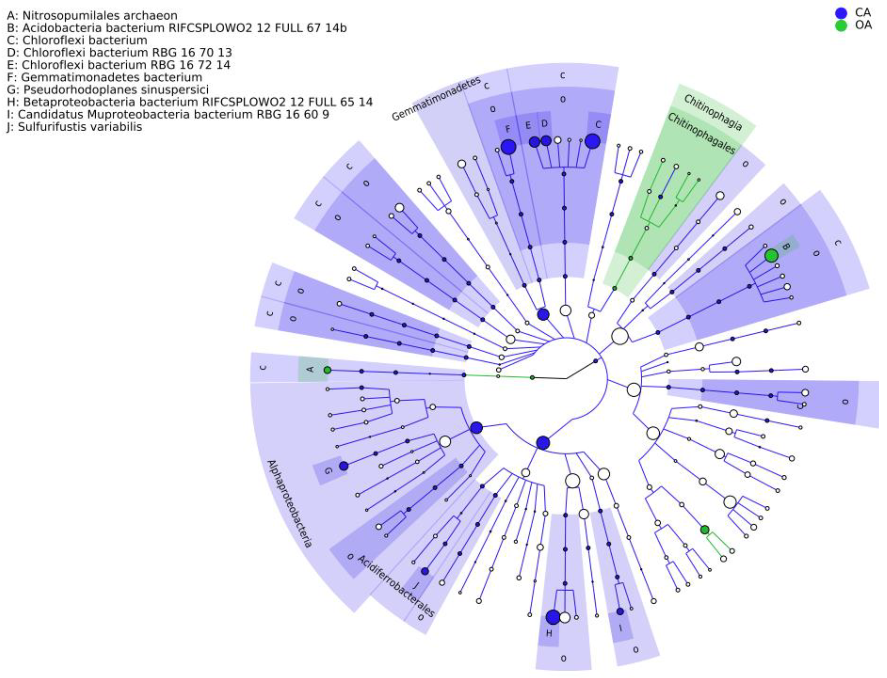 Microorganisms 13 00869 g004