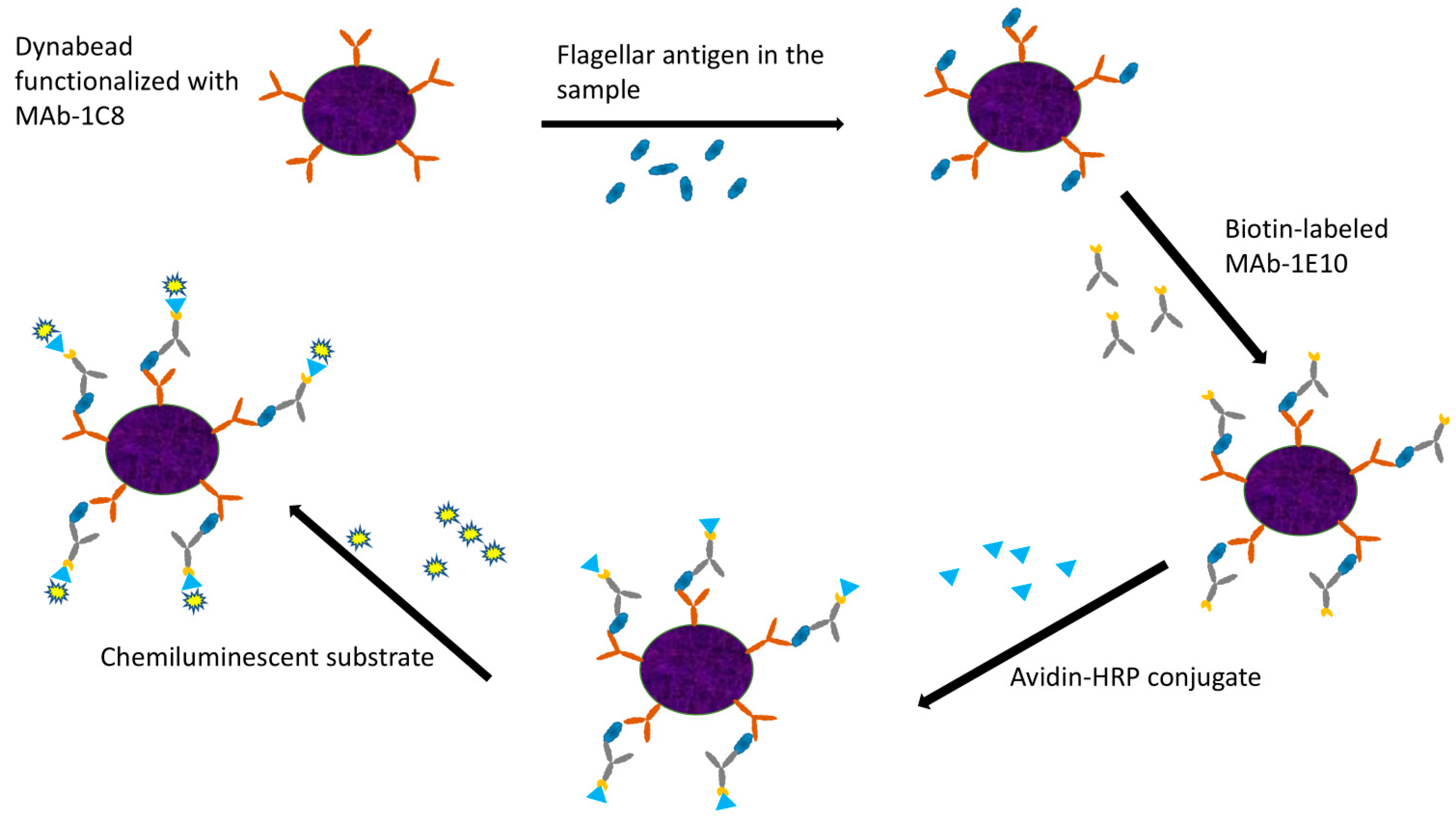 Microorganisms 13 00871 g001