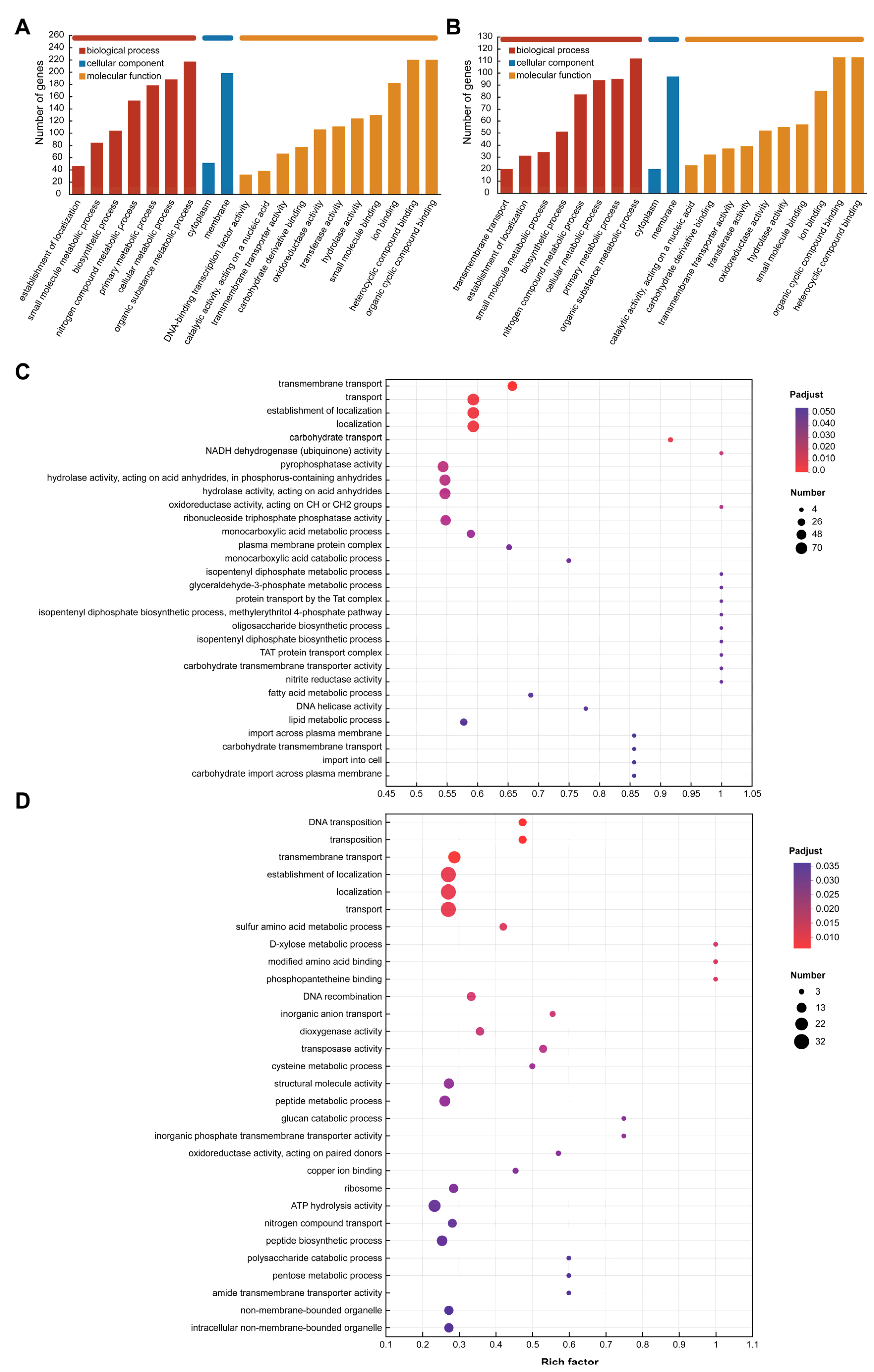 Microorganisms 13 00875 g007