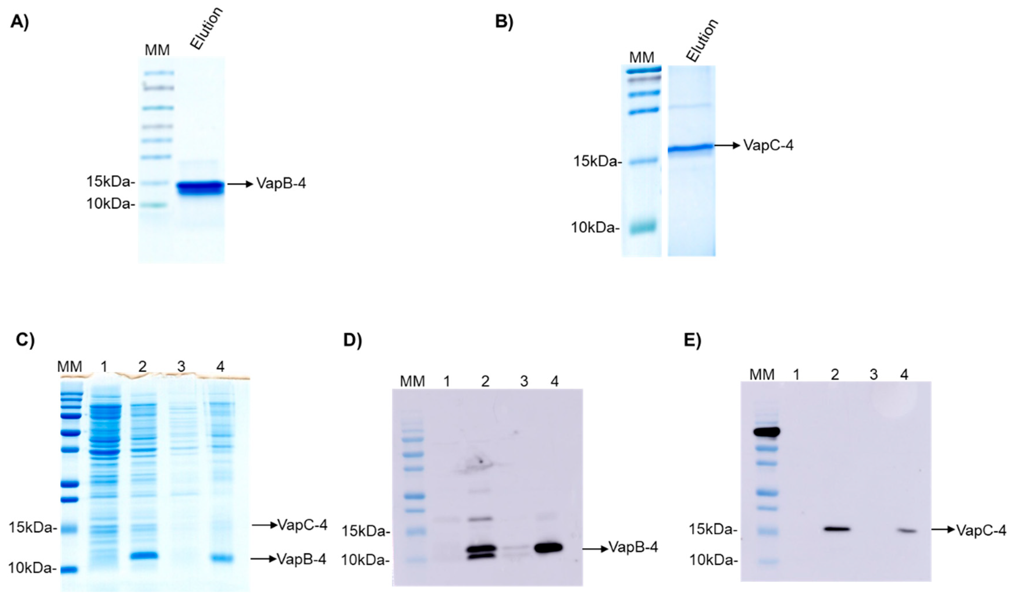 Microorganisms 13 00879 g003