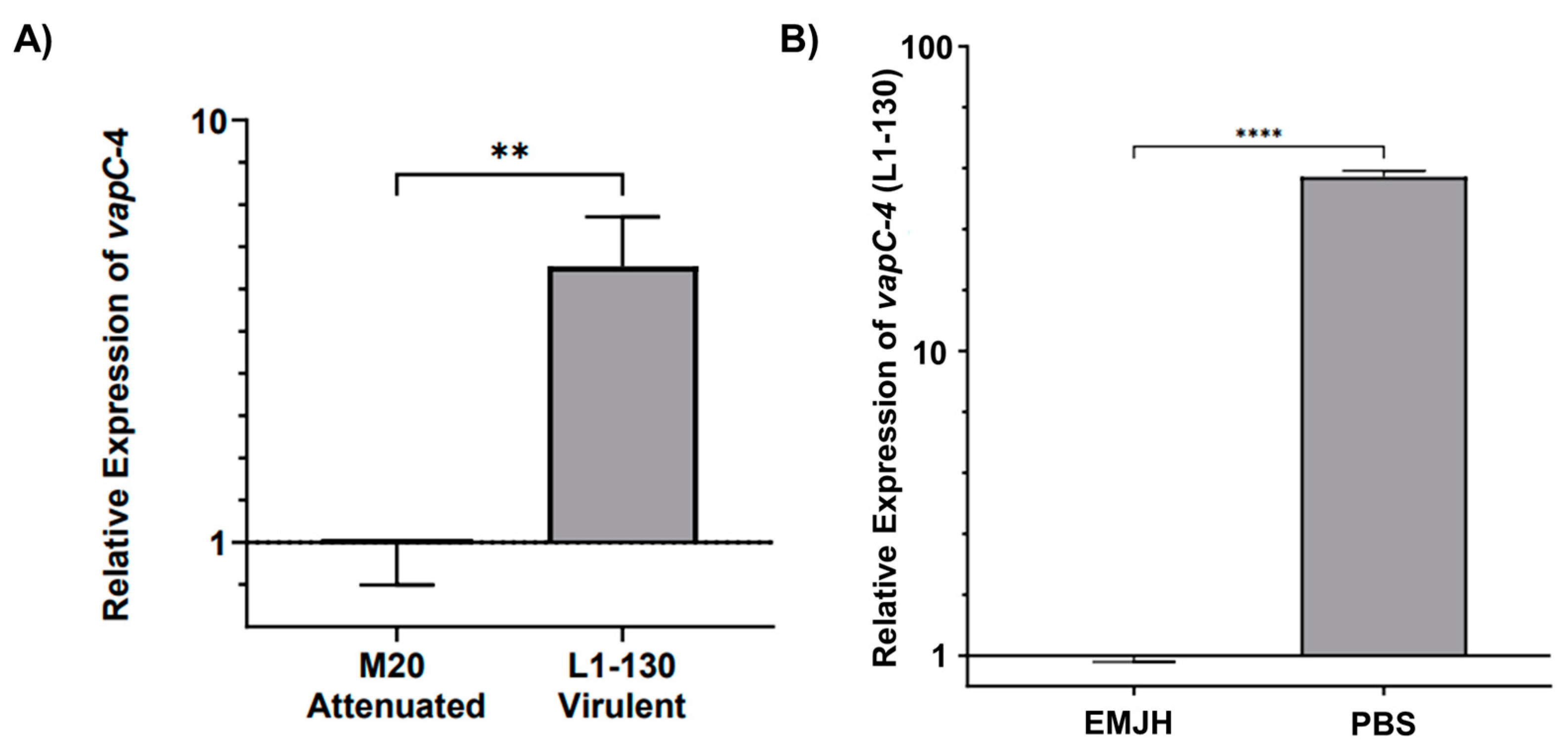 Microorganisms 13 00879 g007
