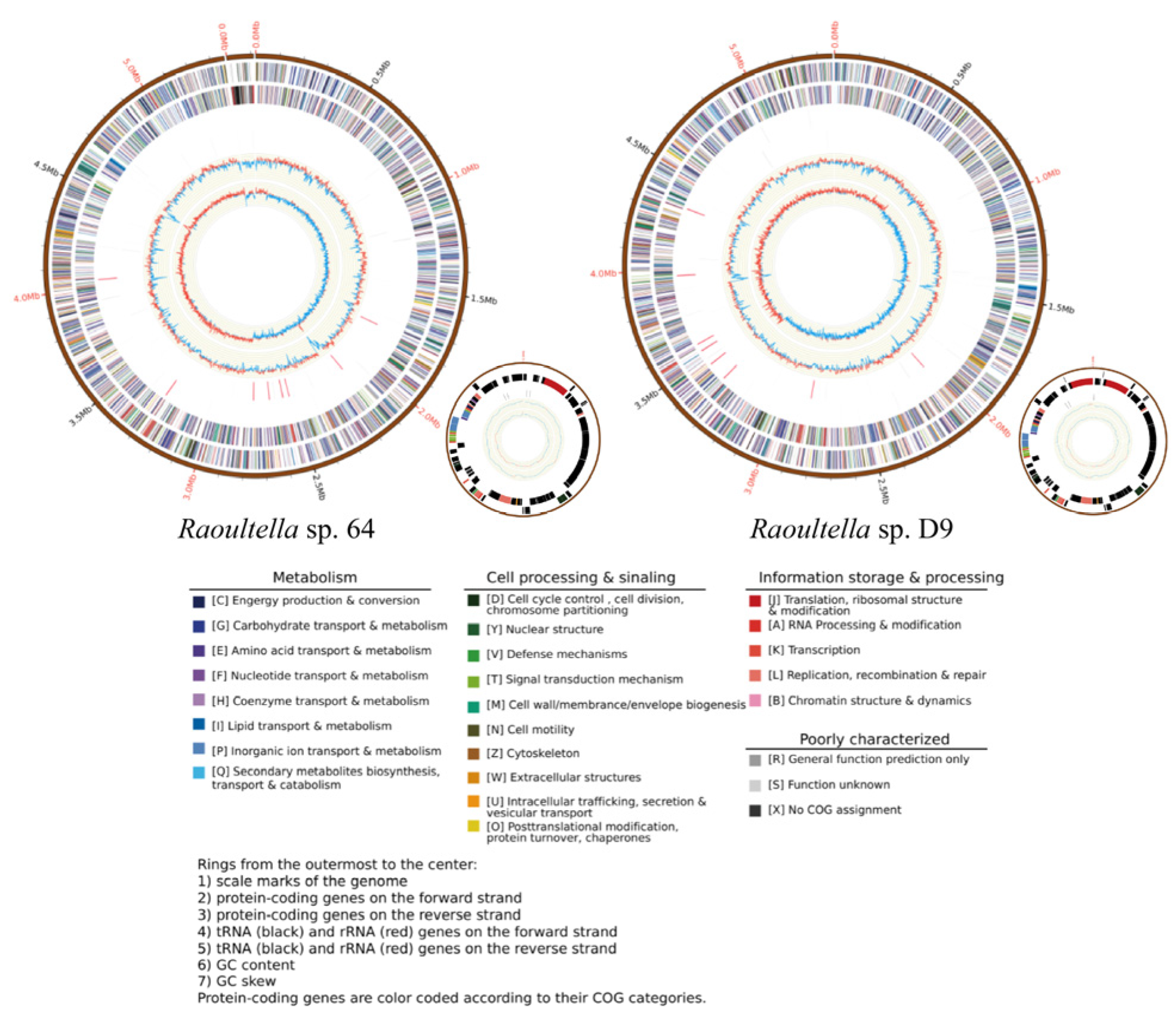 Microorganisms 13 00880 g002