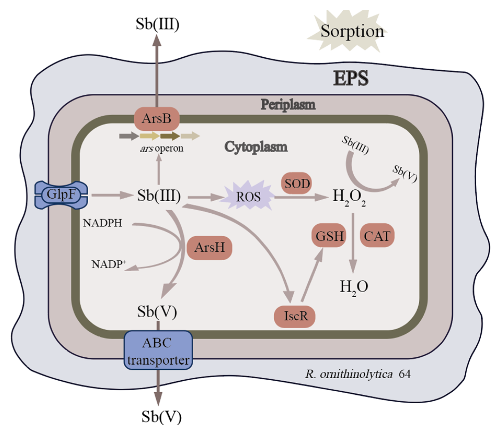 Microorganisms 13 00880 g003