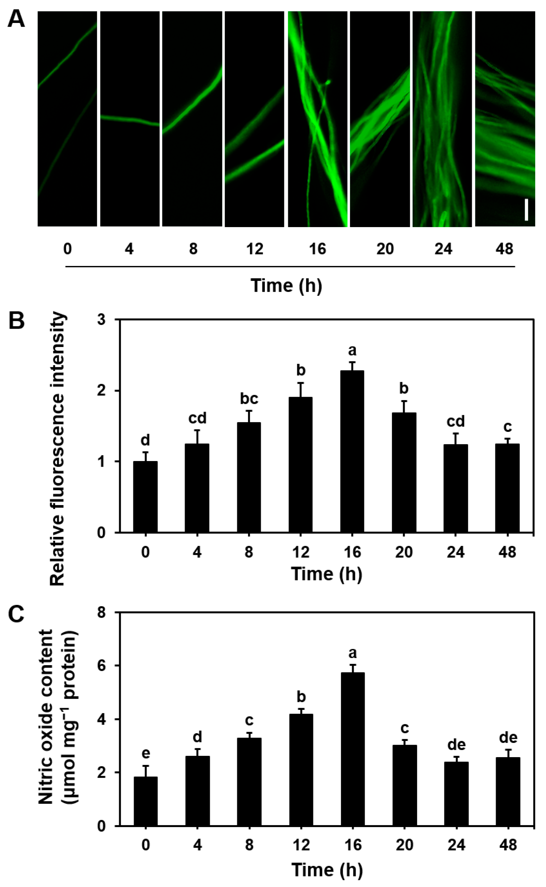 Microorganisms 13 00887 g001 Microorganisms 13 00887 g001