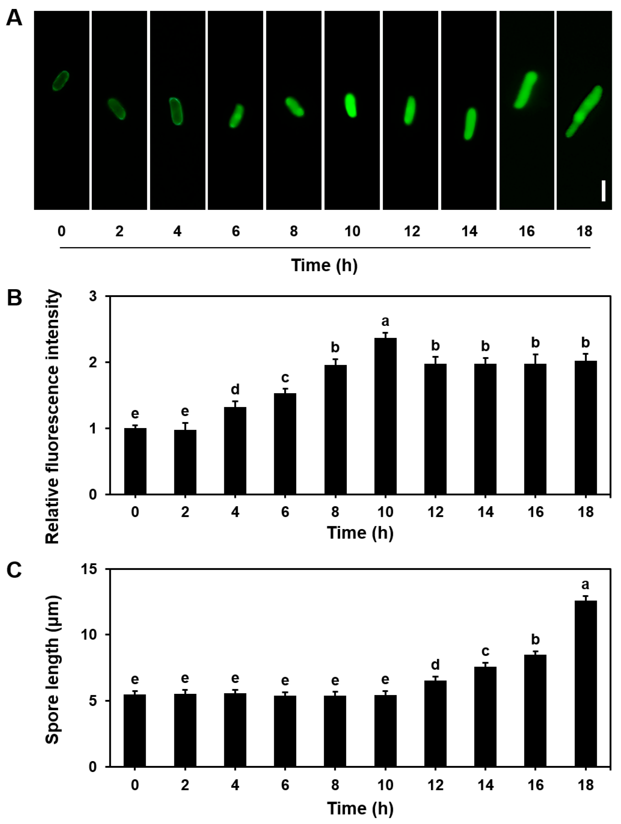 Microorganisms 13 00887 g002 Microorganisms 13 00887 g002