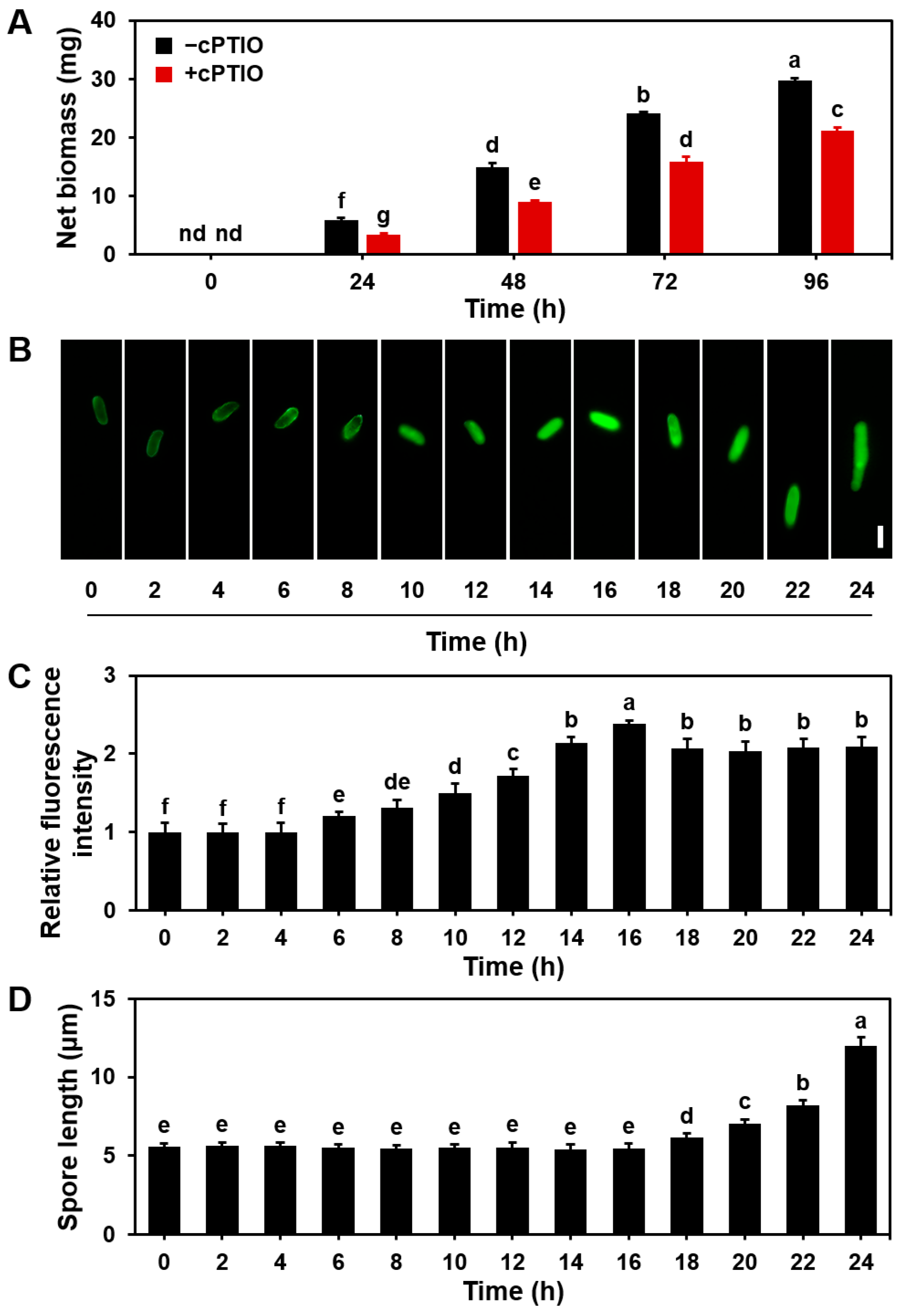 Microorganisms 13 00887 g003 Microorganisms 13 00887 g003