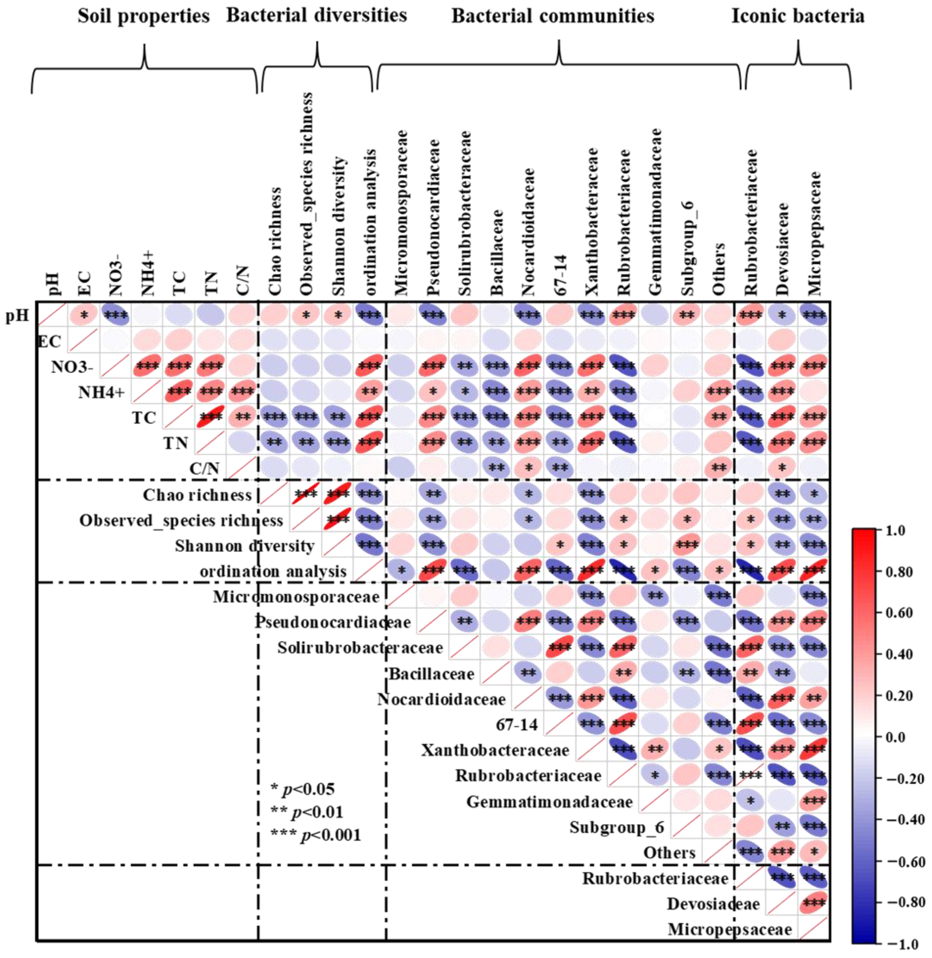 Microorganisms 13 00894 g006