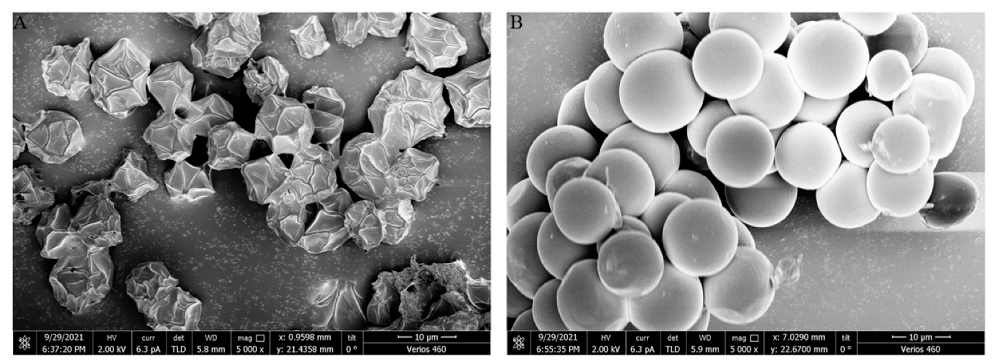 Microorganisms 13 00903 g002