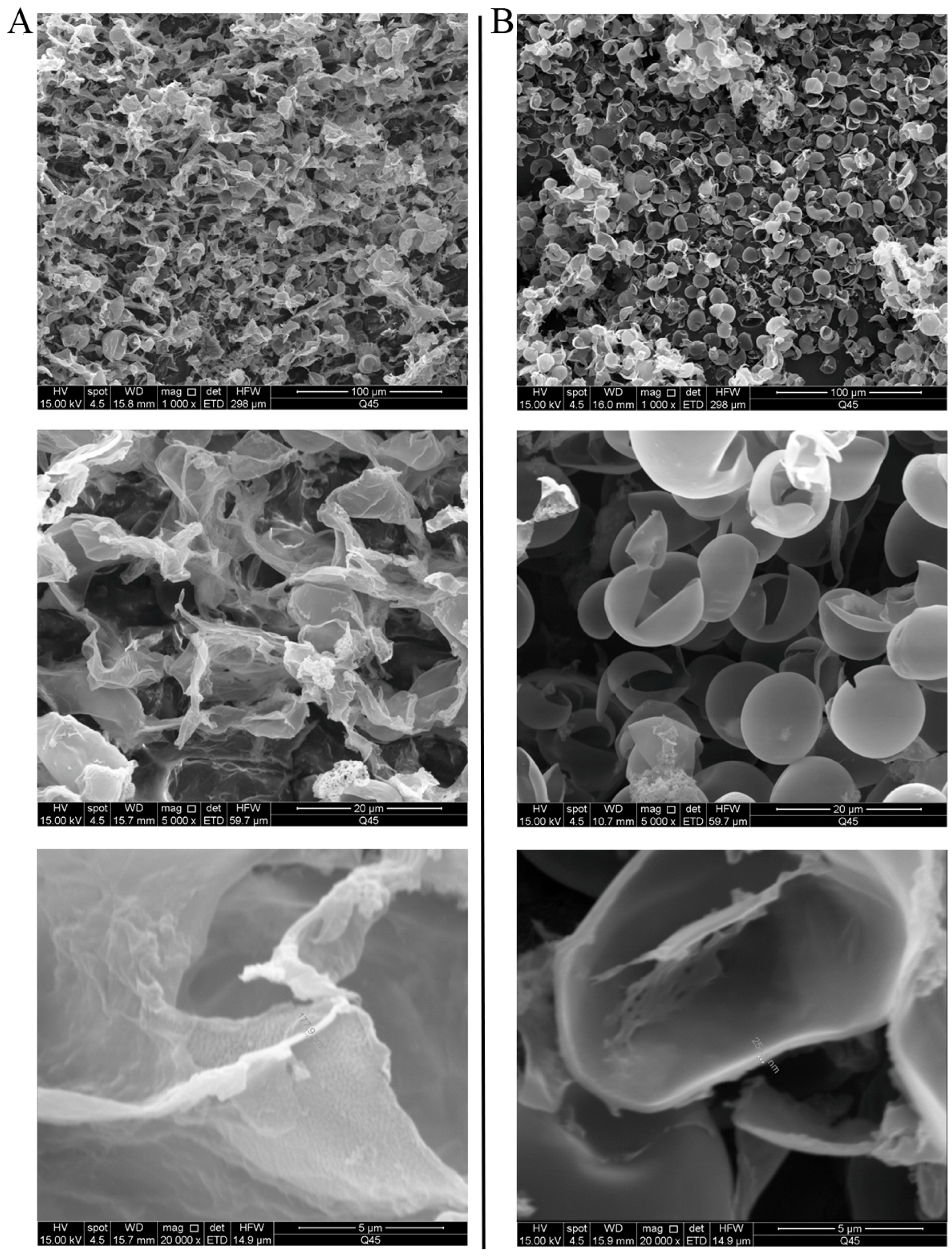 Microorganisms 13 00903 g004