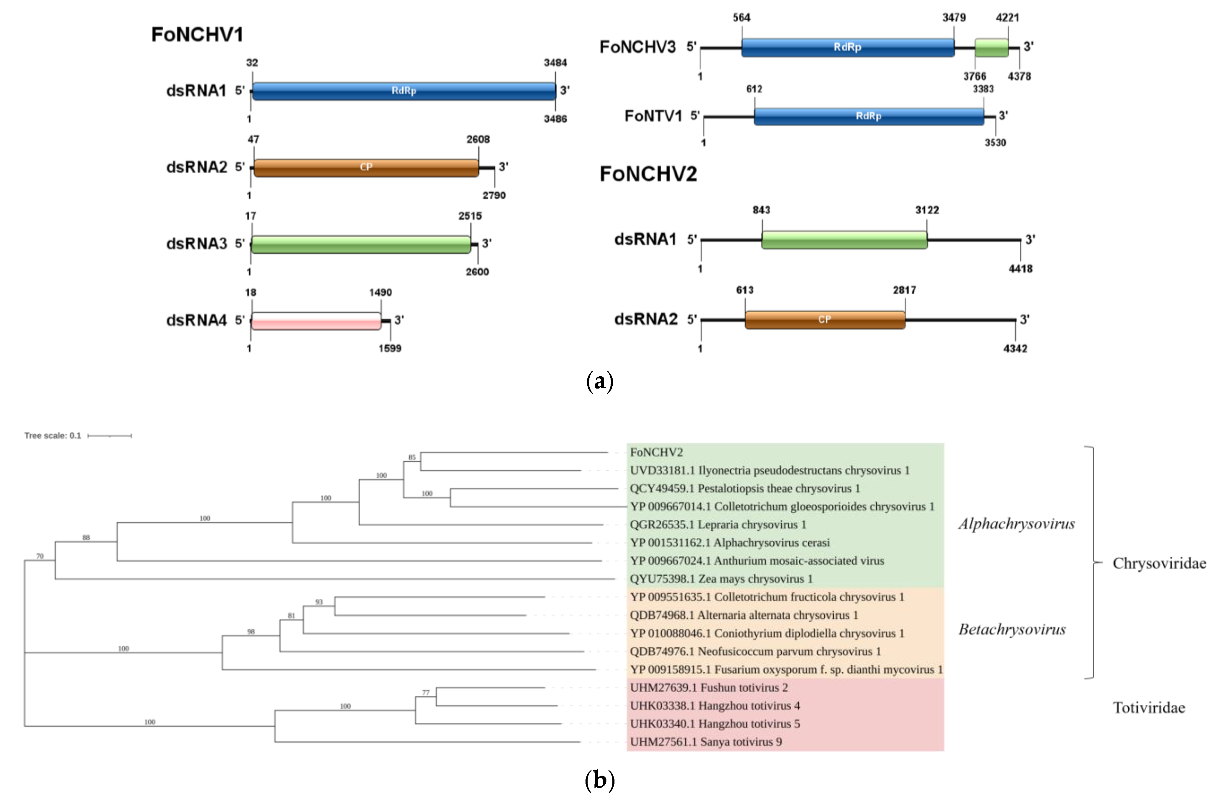 Microorganisms 13 00906 g002