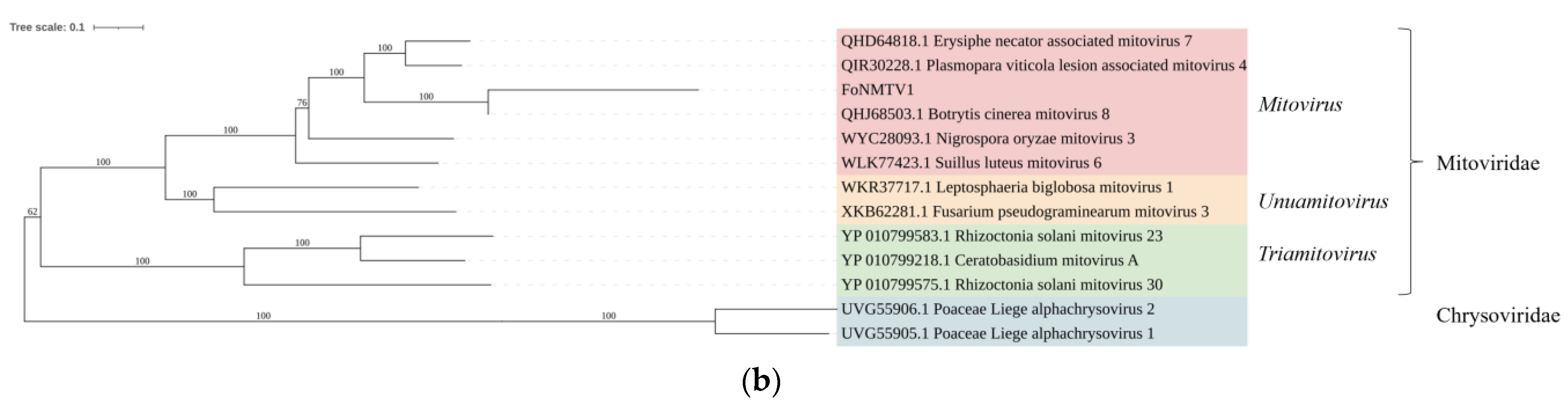 Microorganisms 13 00906 g003b