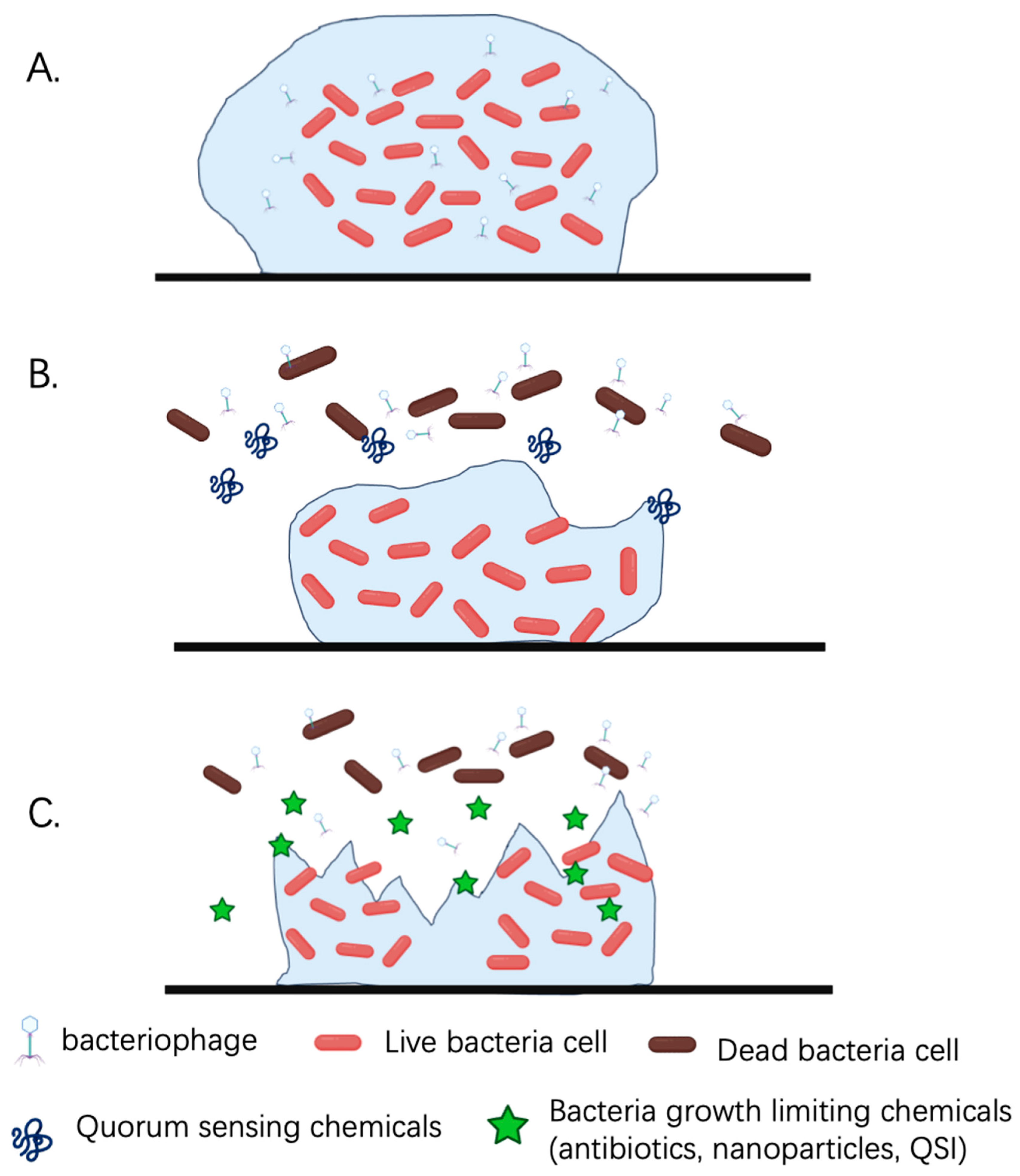 Microorganisms 13 00913 g002
