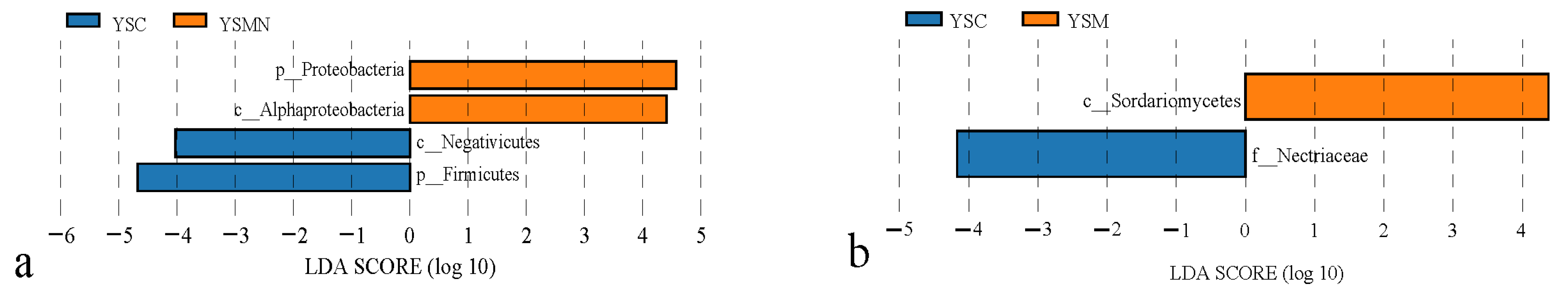 Microorganisms 13 00921 g008