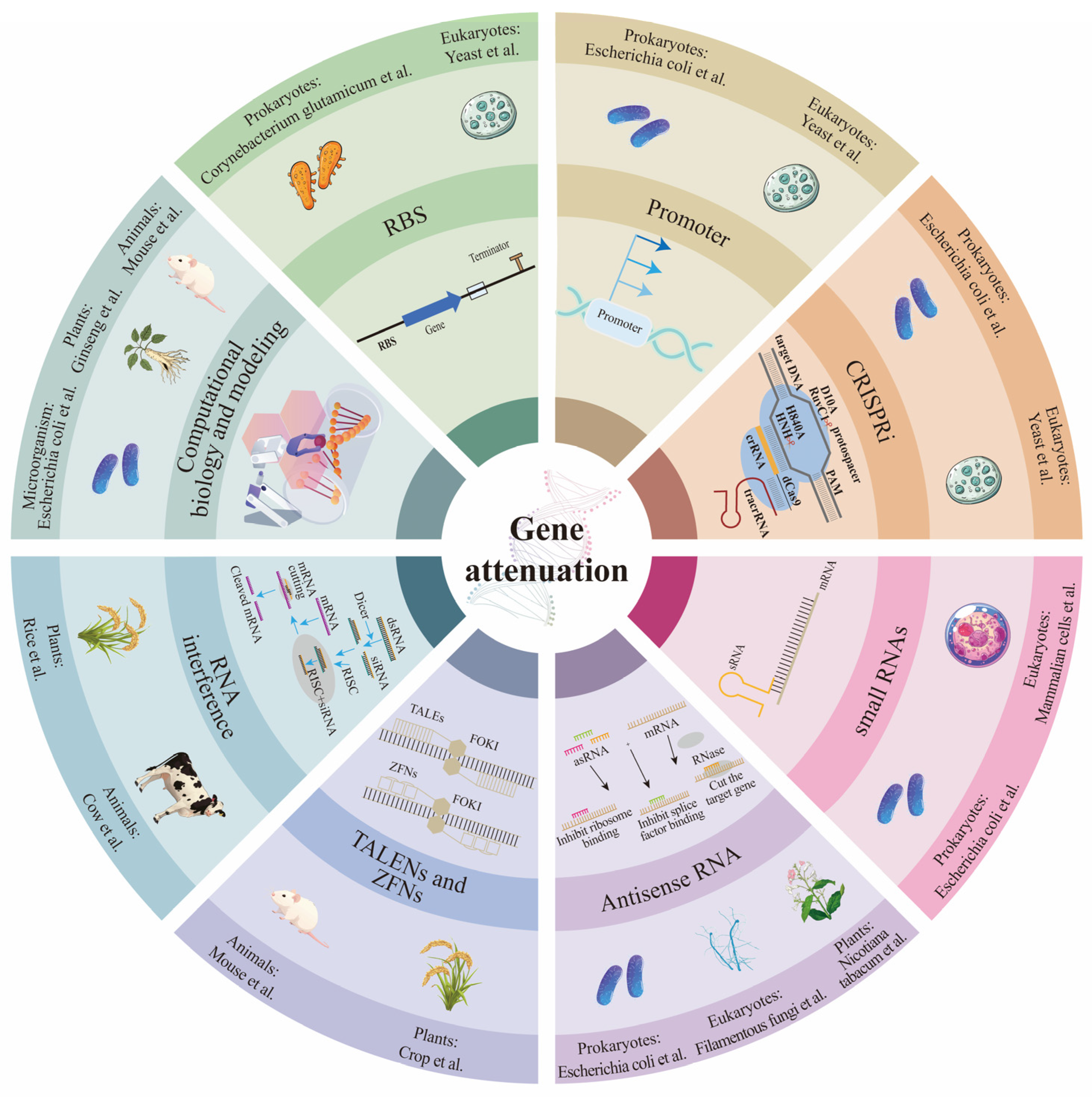 Microorganisms 13 00927 g001