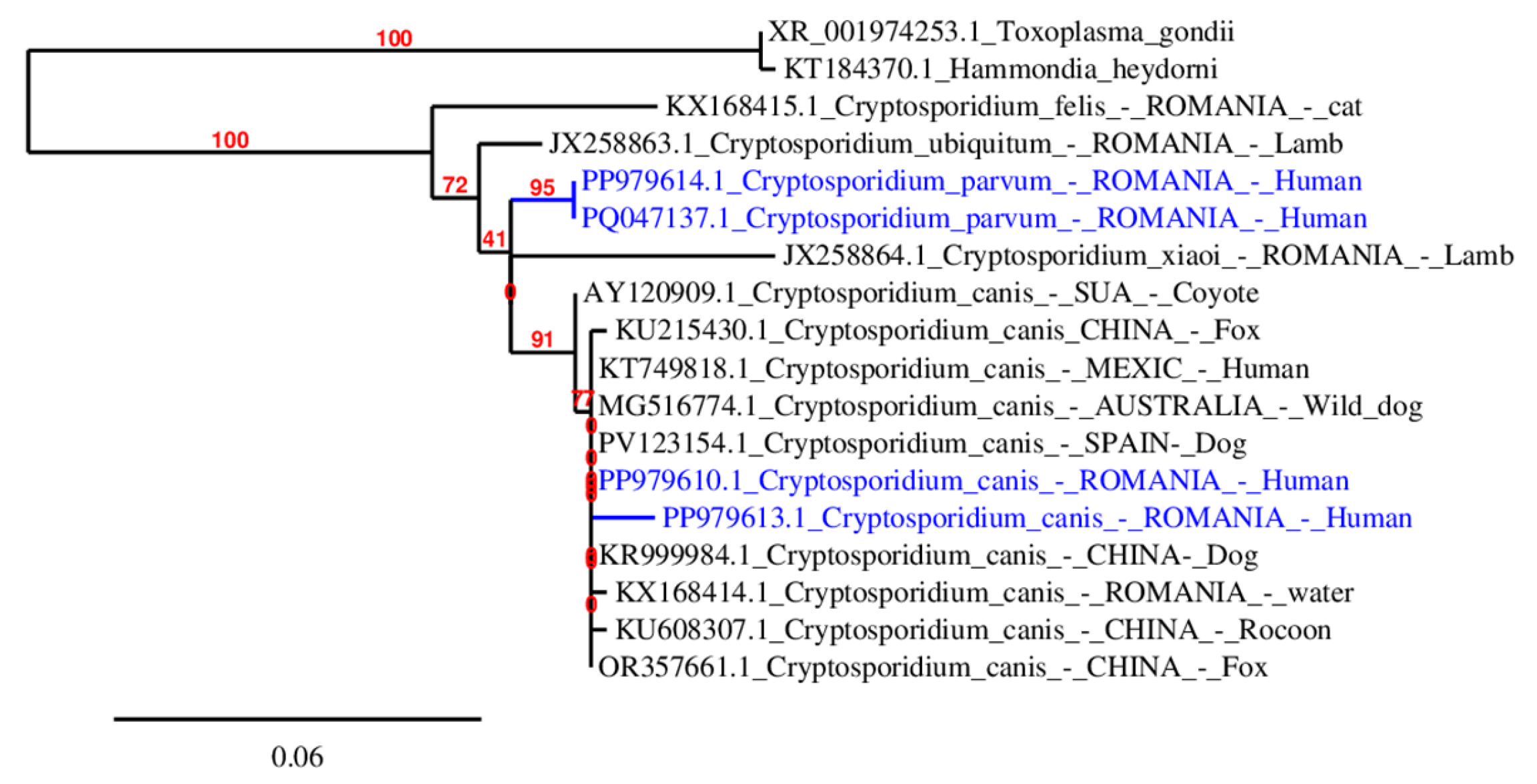 Microorganisms 13 00931 g002