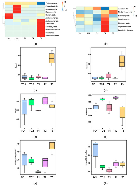 Effects of Spent Mushroom Substrate Treated with Plant