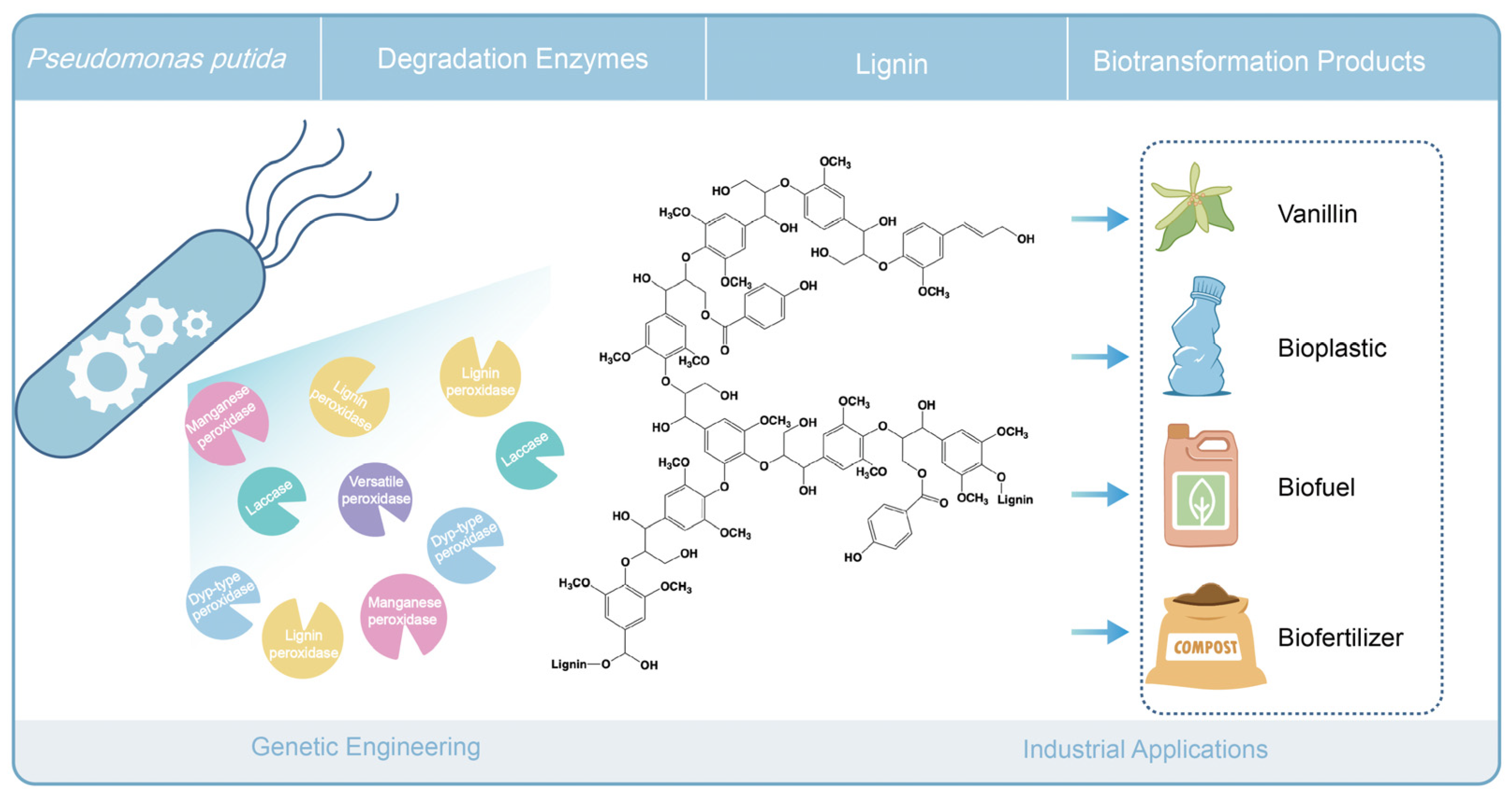 Microorganisms 13 00935 g005