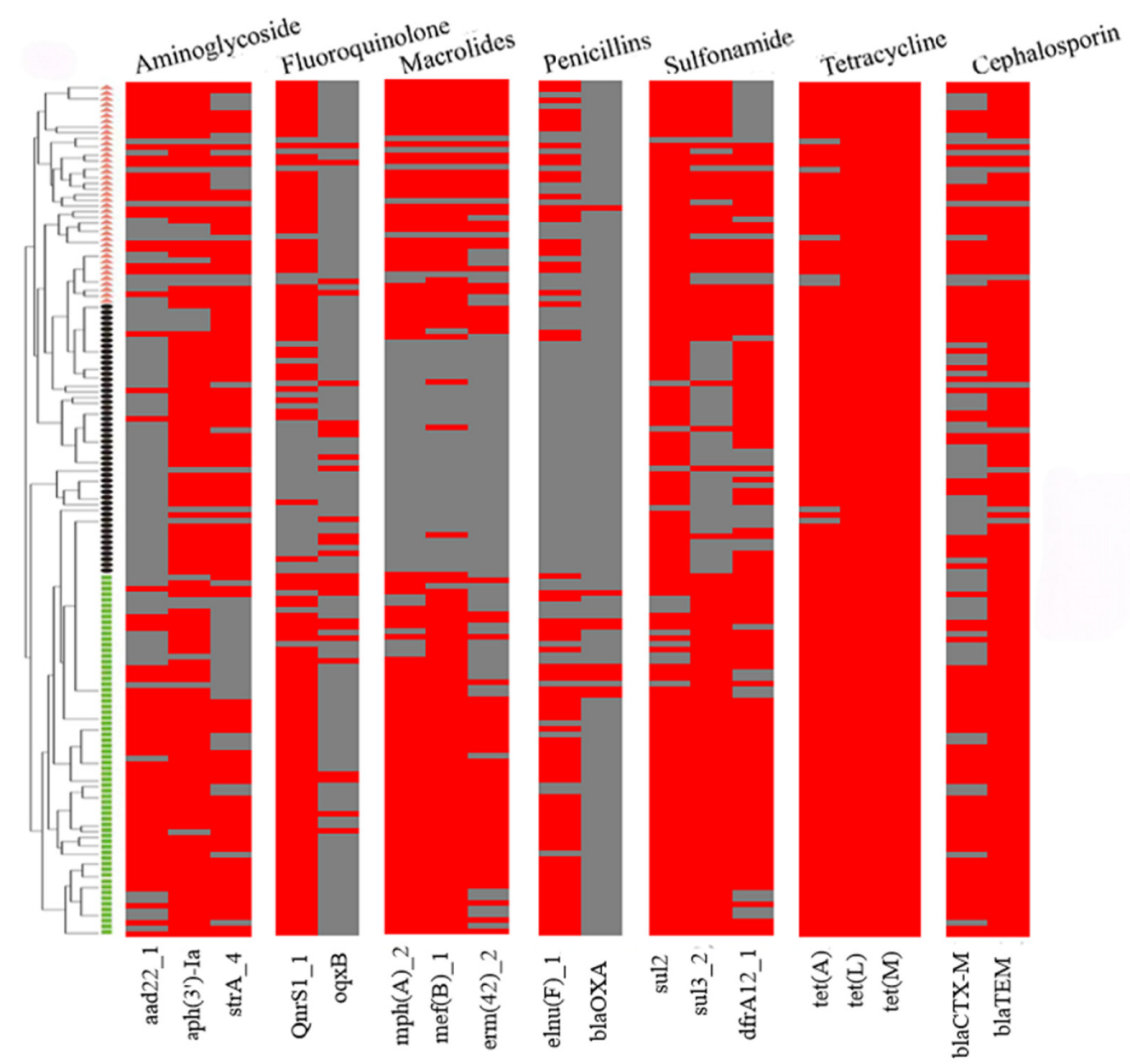 Microorganisms 13 00938 g002