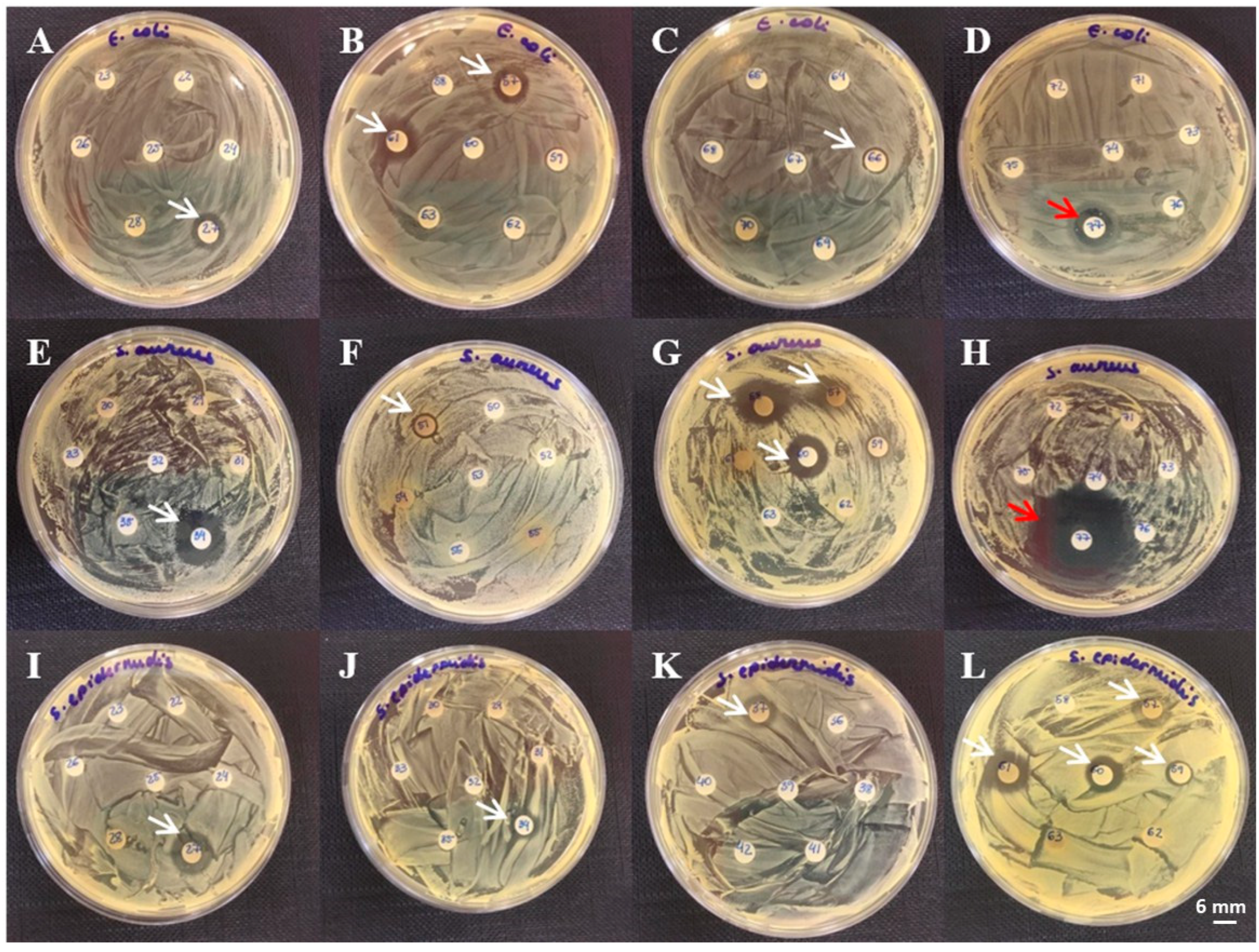 Microorganisms 13 00940 g002