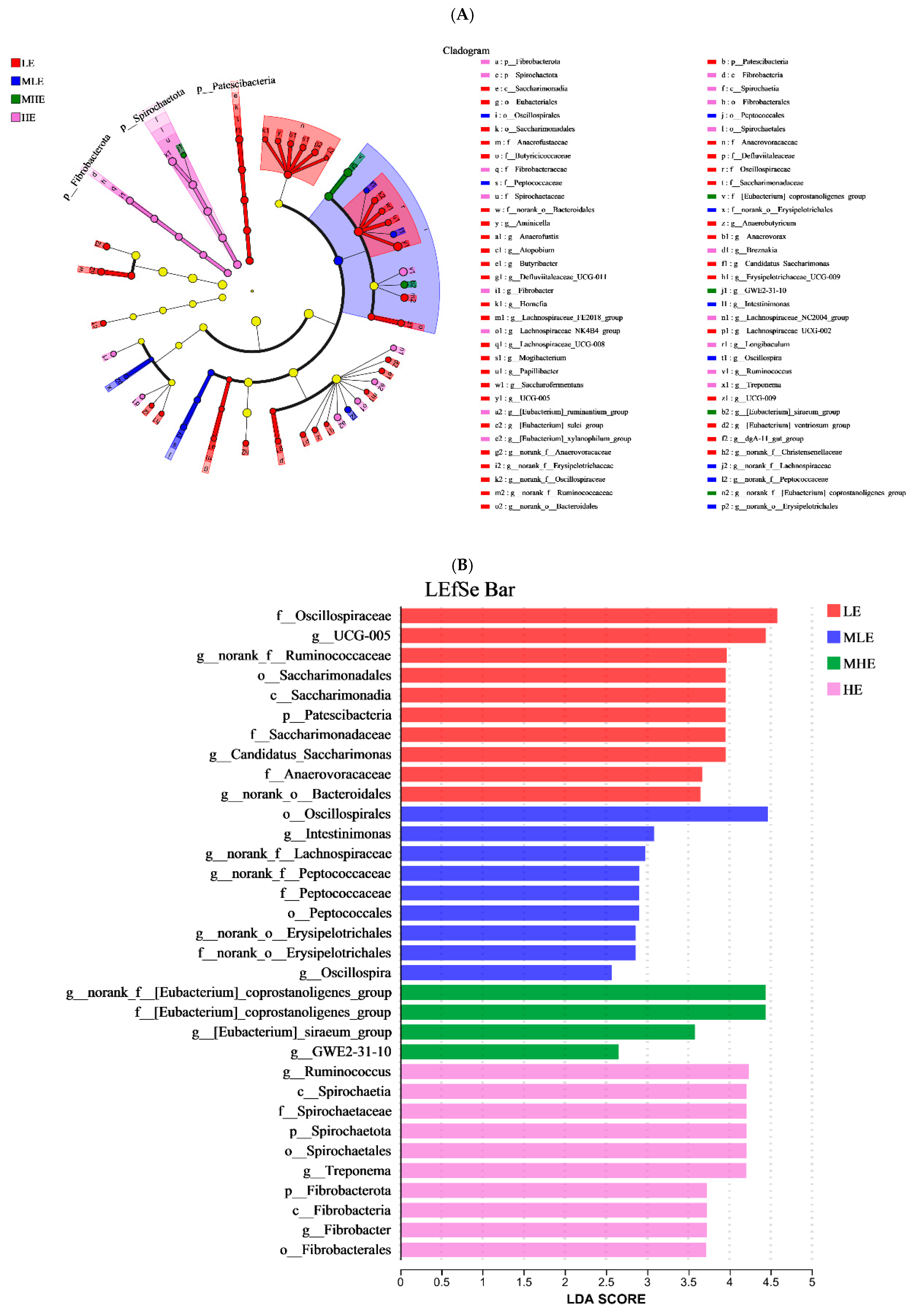 Microorganisms 13 00941 g004 Microorganisms 13 00941 g004