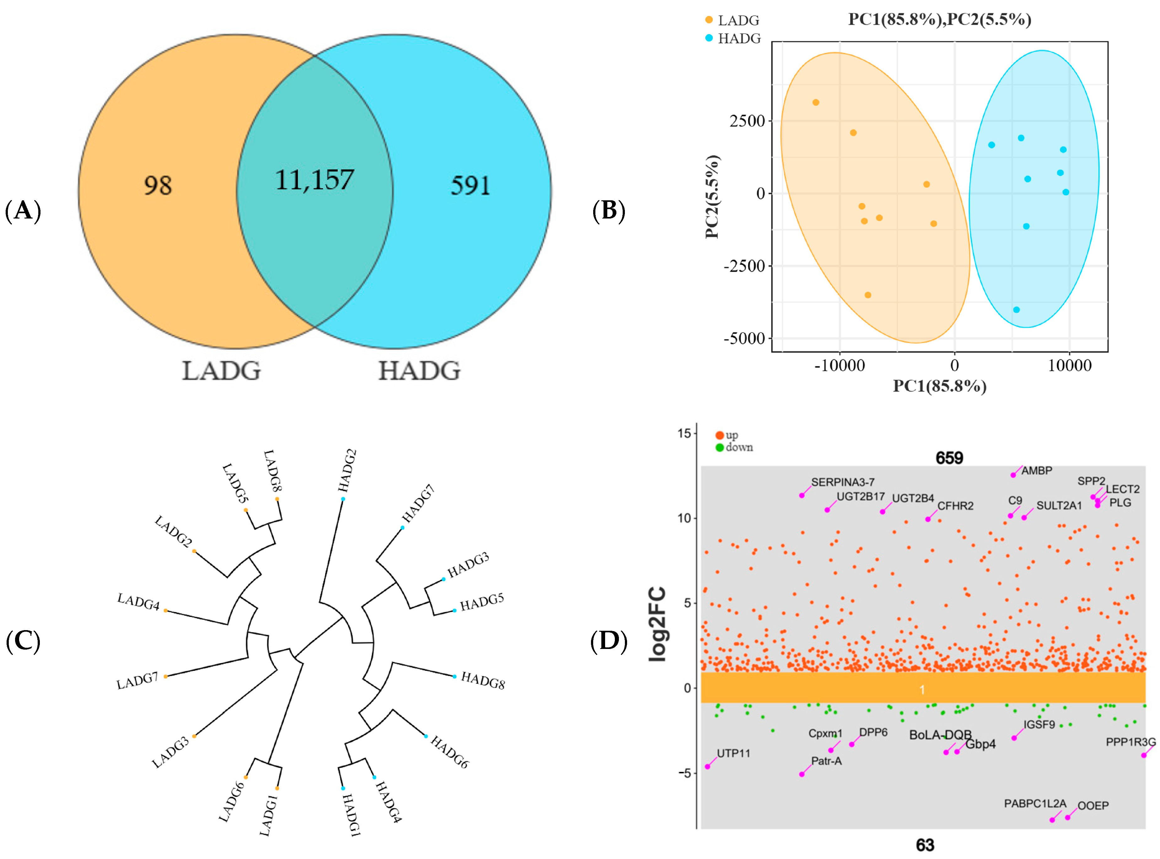 Microorganisms 13 00943 g004