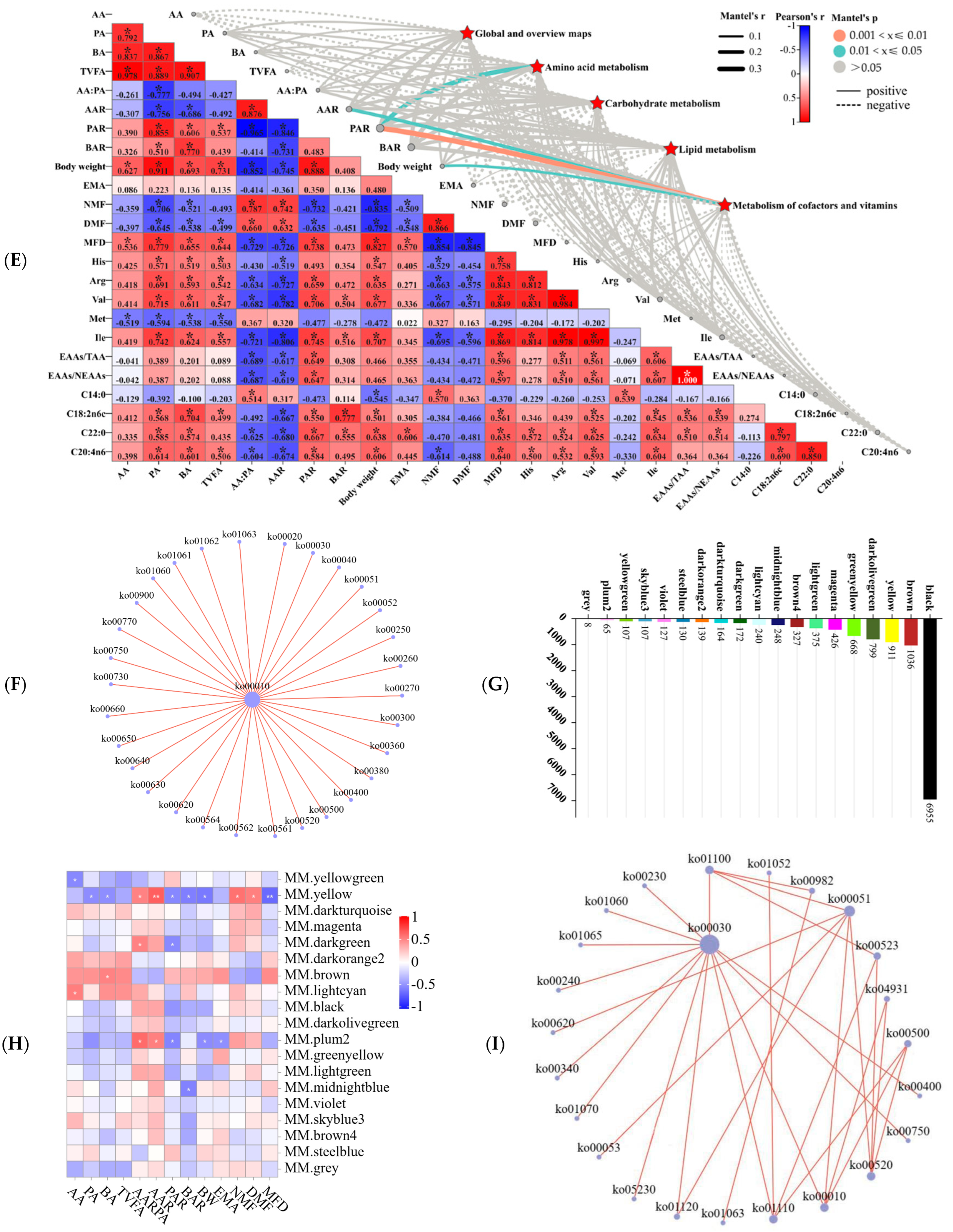 Microorganisms 13 00943 g006b