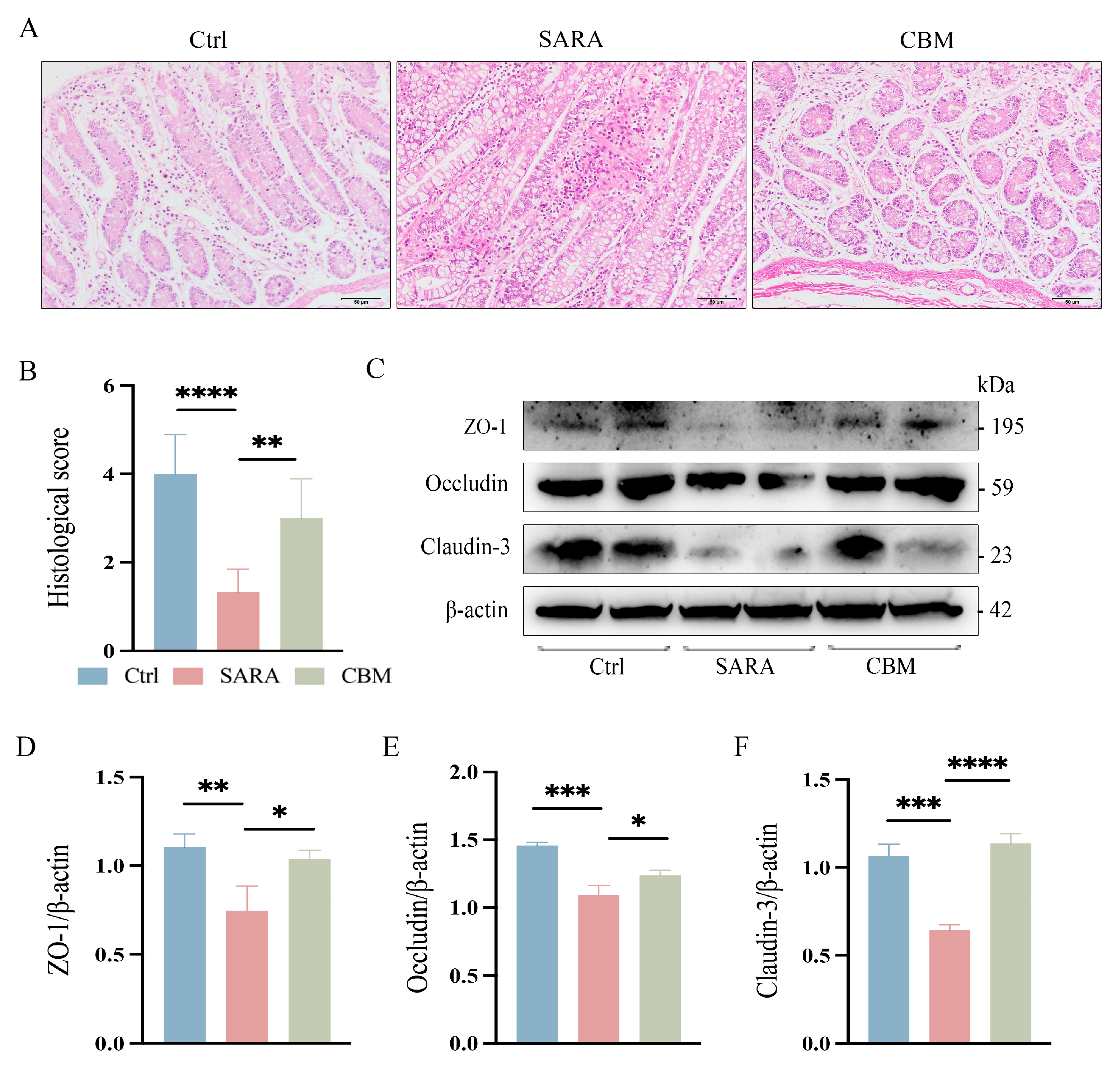 Microorganisms 13 00945 g006