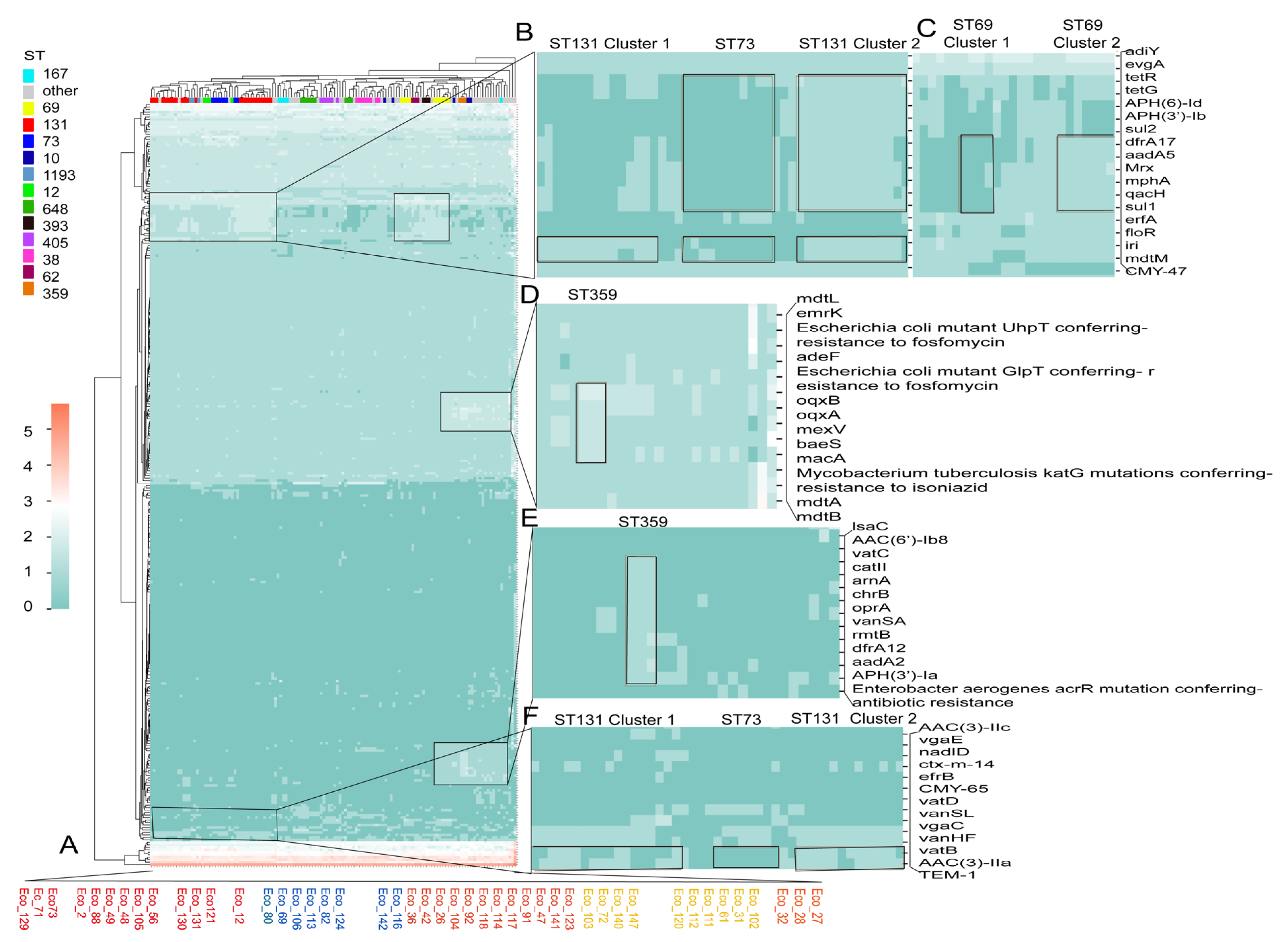 Microorganisms 13 00954 g003