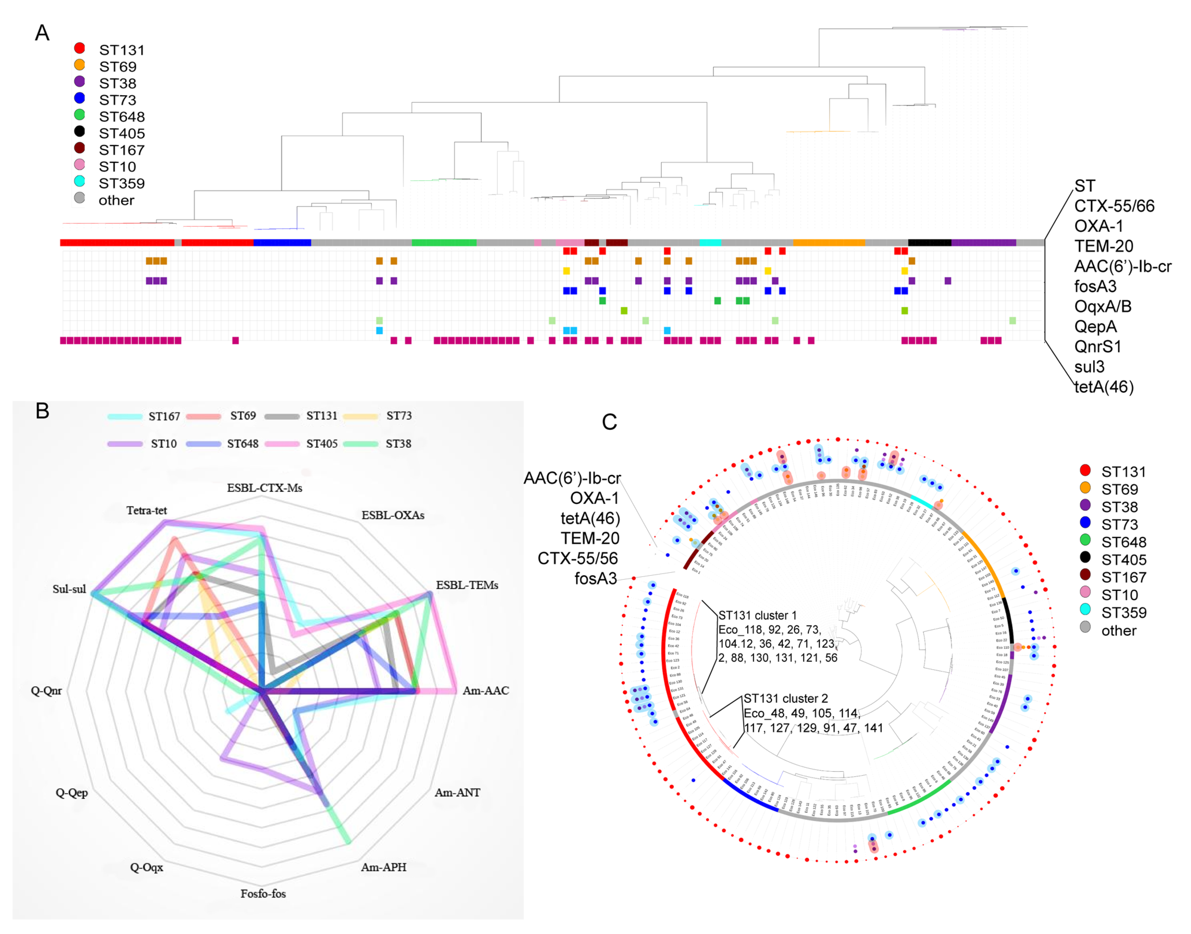 Microorganisms 13 00954 g005