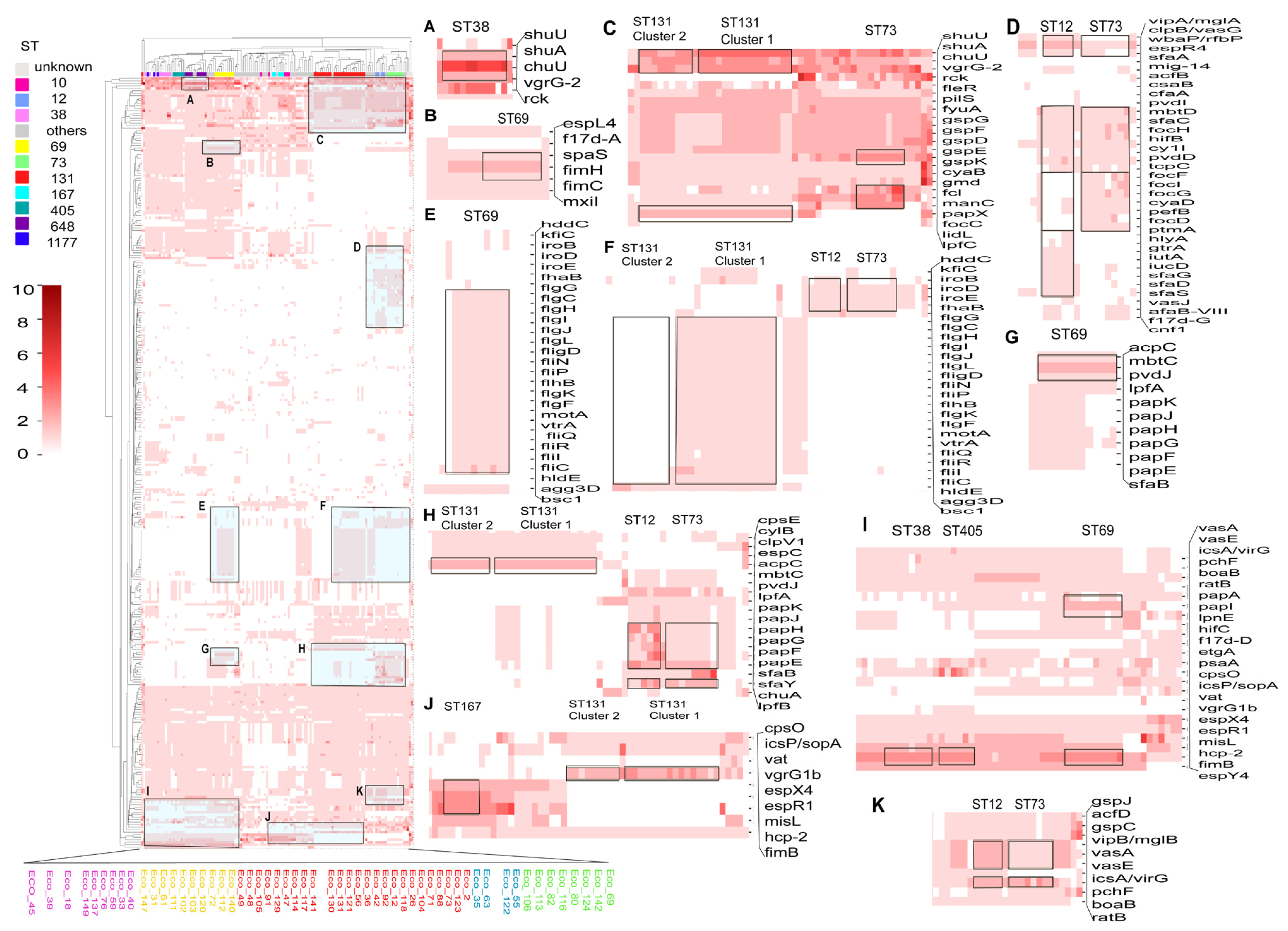 Microorganisms 13 00954 g006
