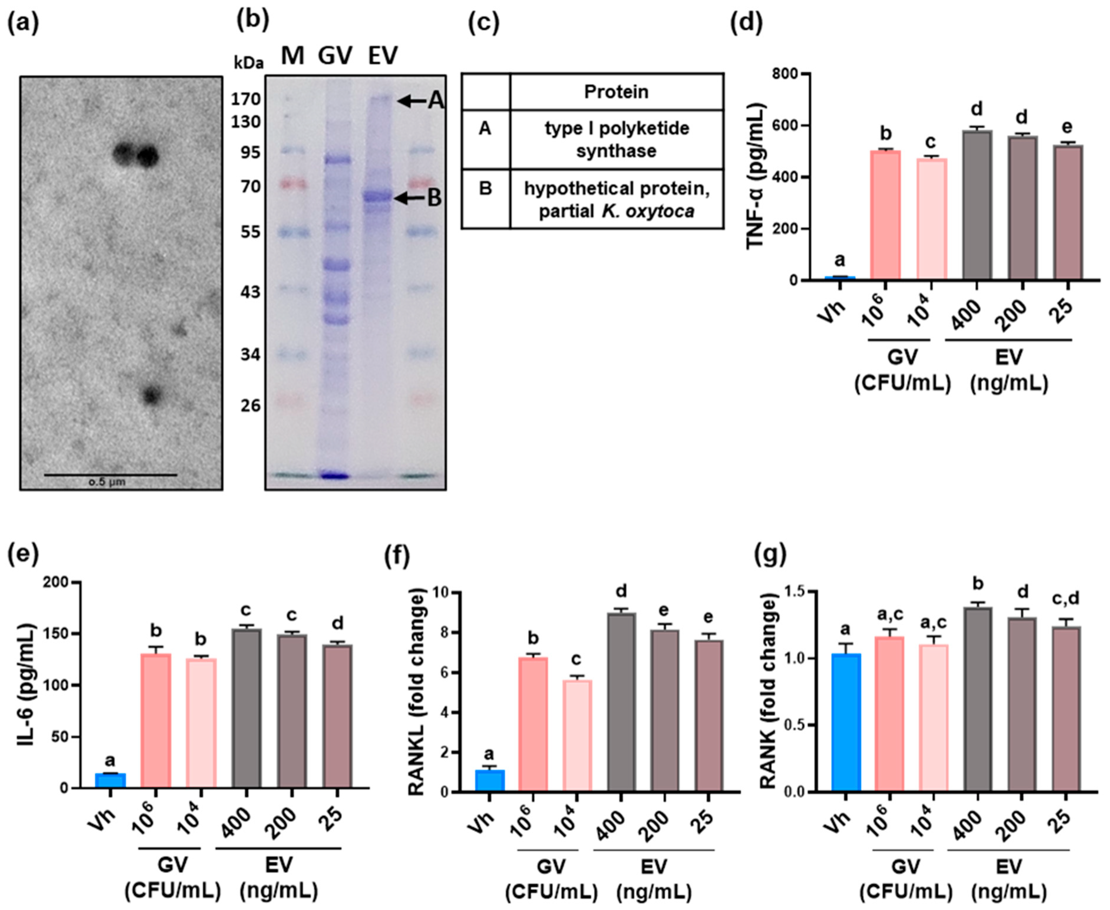 Microorganisms 13 00955 g001
