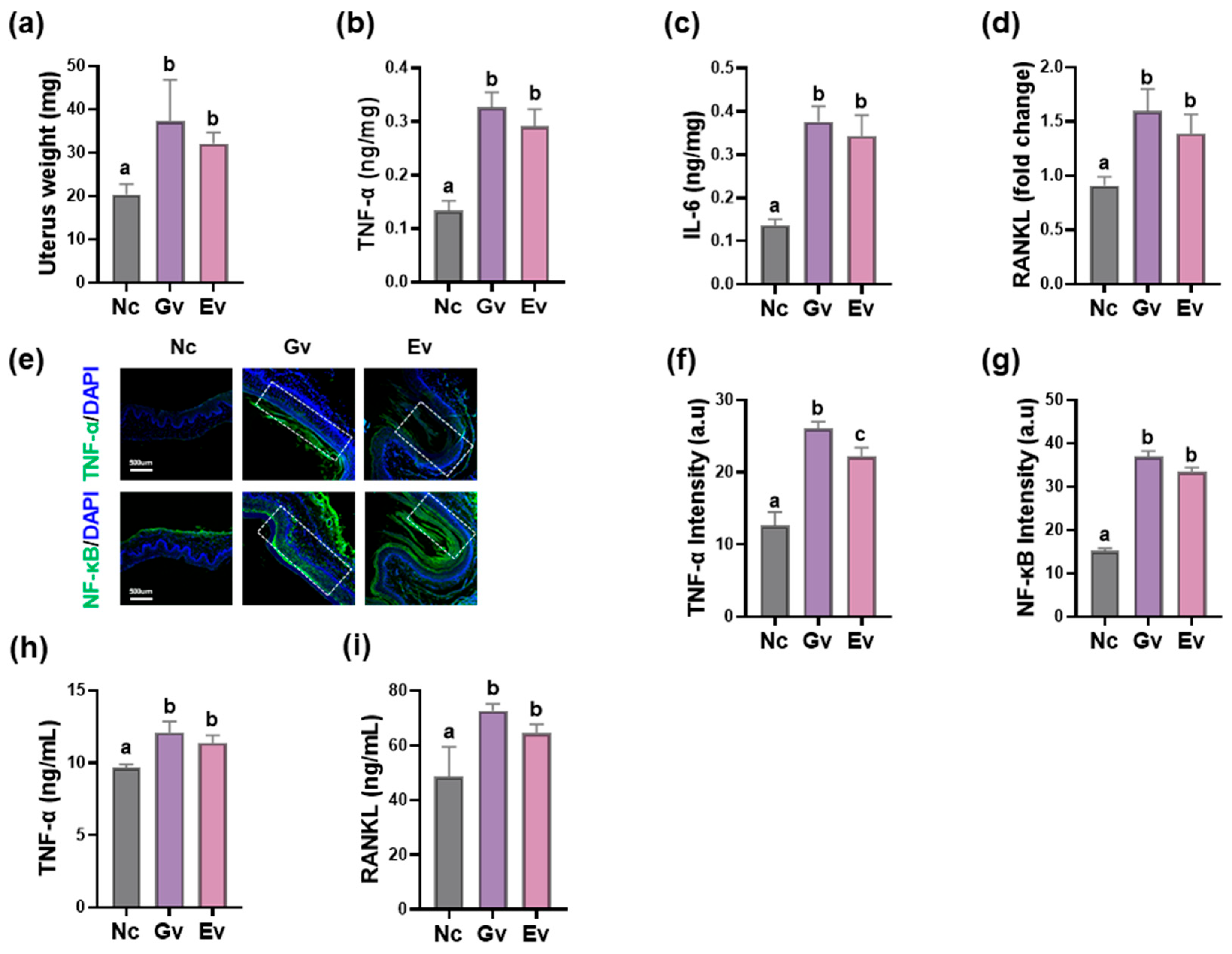 Microorganisms 13 00955 g002